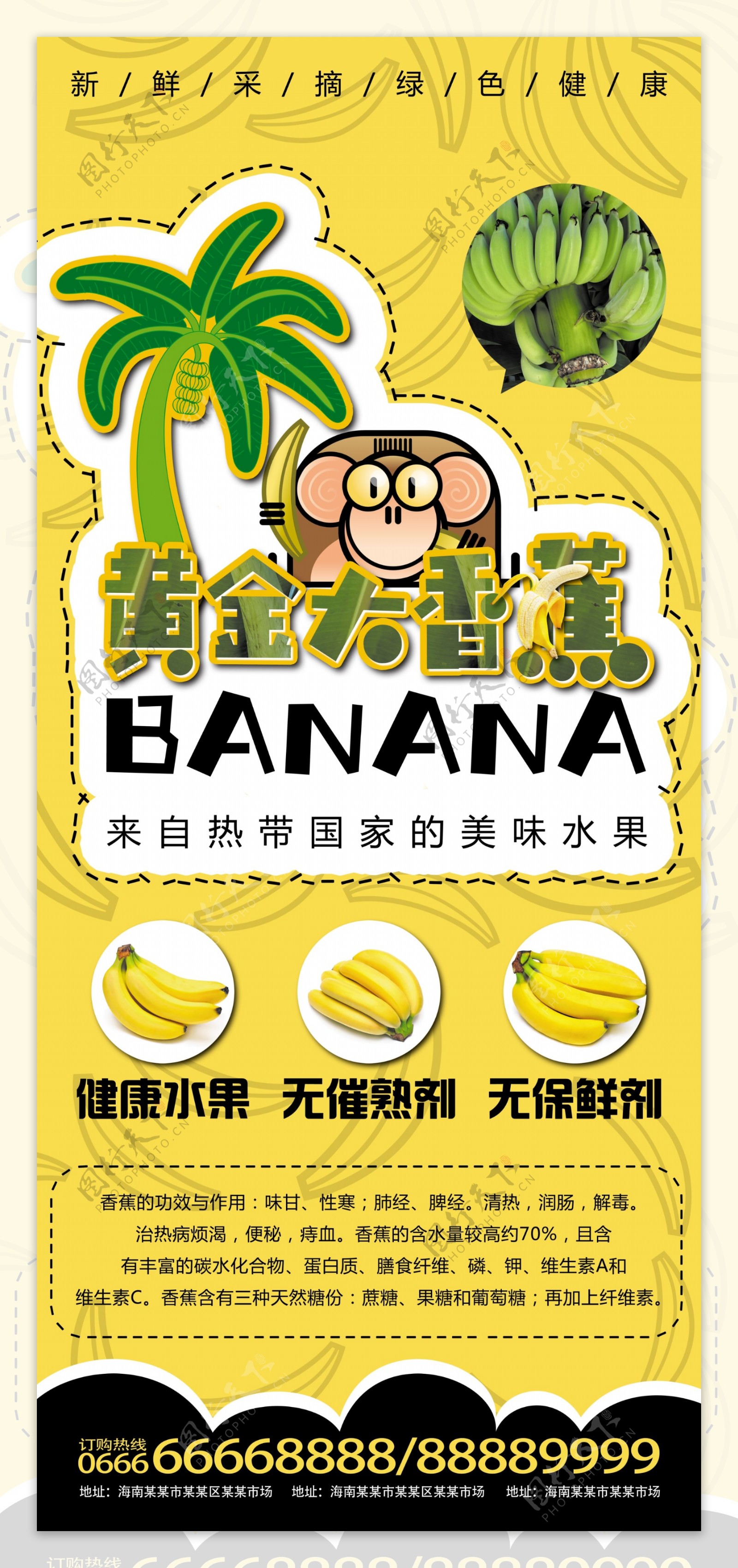 香蕉水果店宣传展架