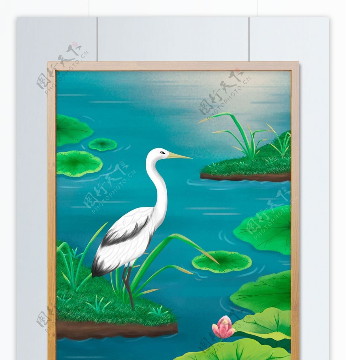 世界湿地日保护湿地鸟类植物手绘插画