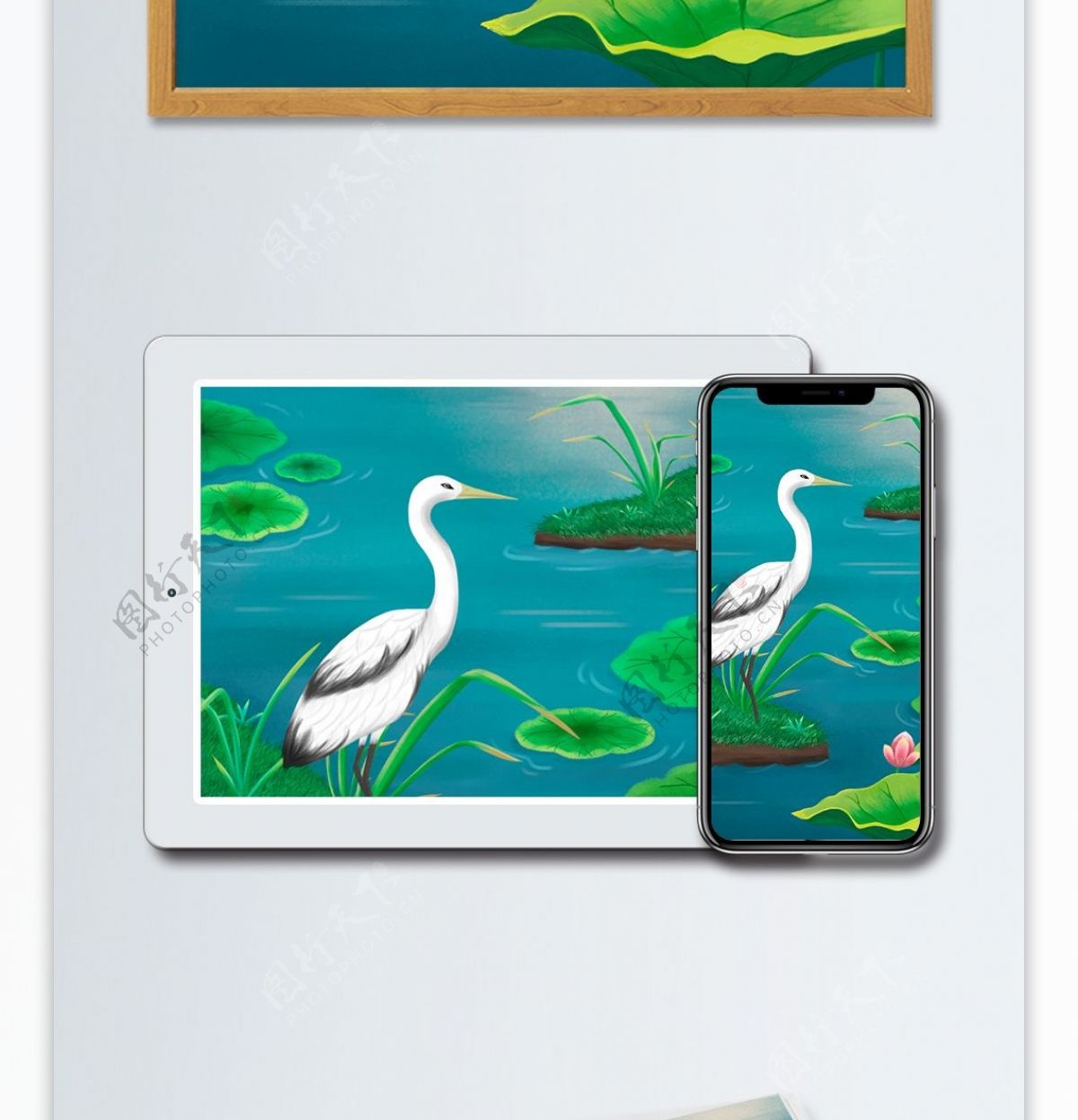 世界湿地日保护湿地鸟类植物手绘插画