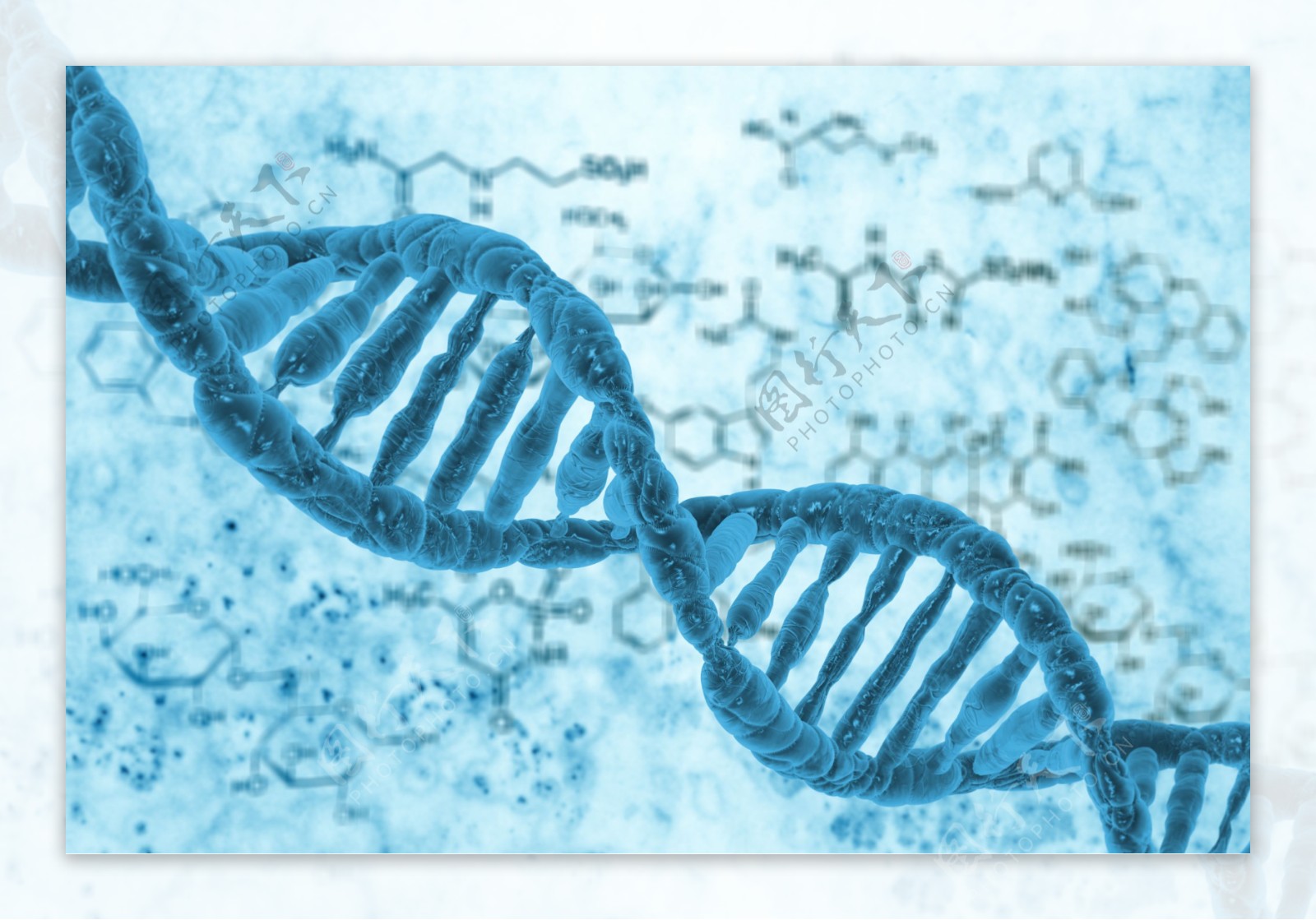 基因链DNA
