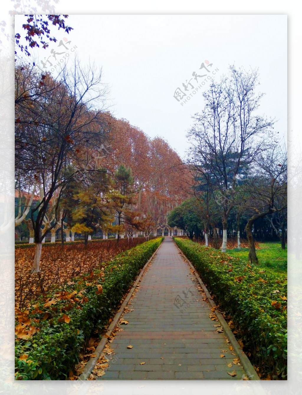 日暮下的校园风景