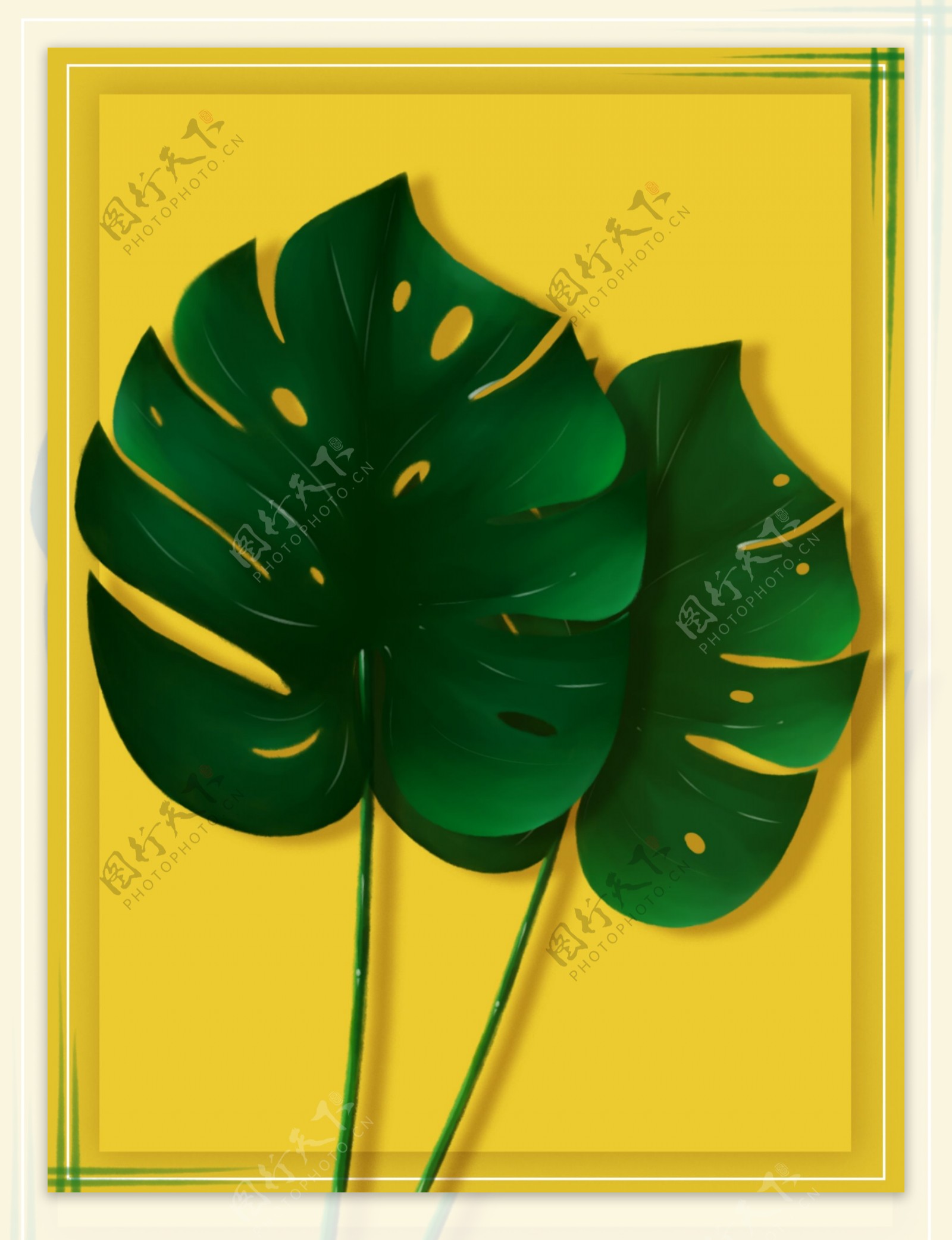 纯手绘原创绿色植物花卉叶子水彩边框背景
