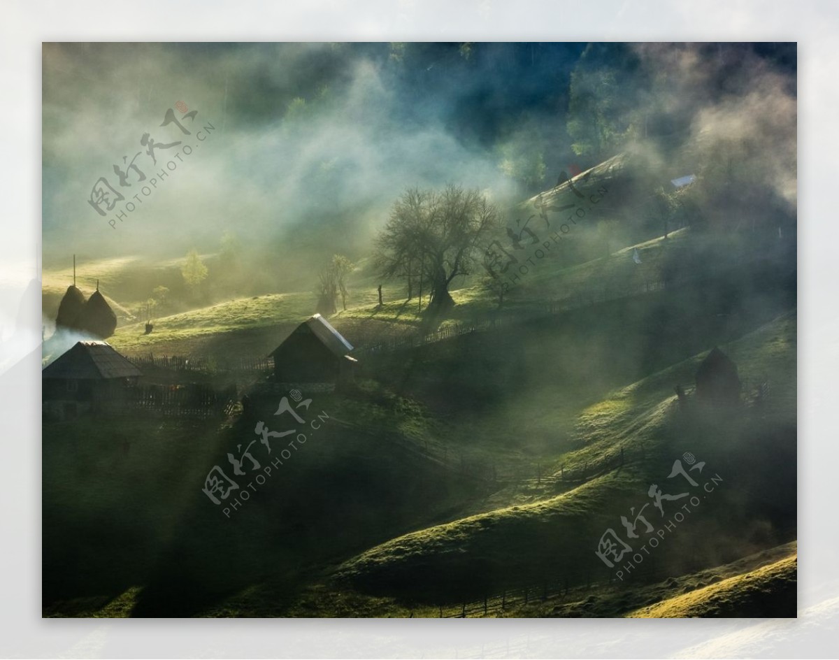 山林绿植风景