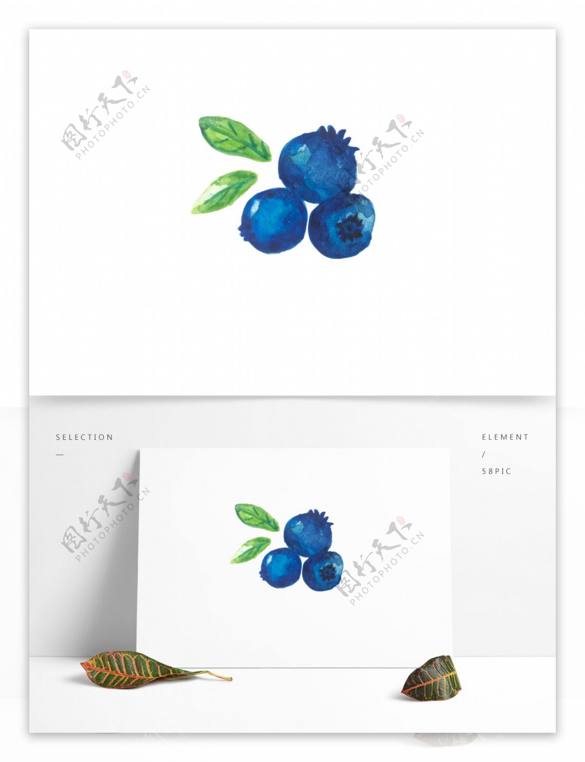 小清新手绘水彩蓝莓可商用