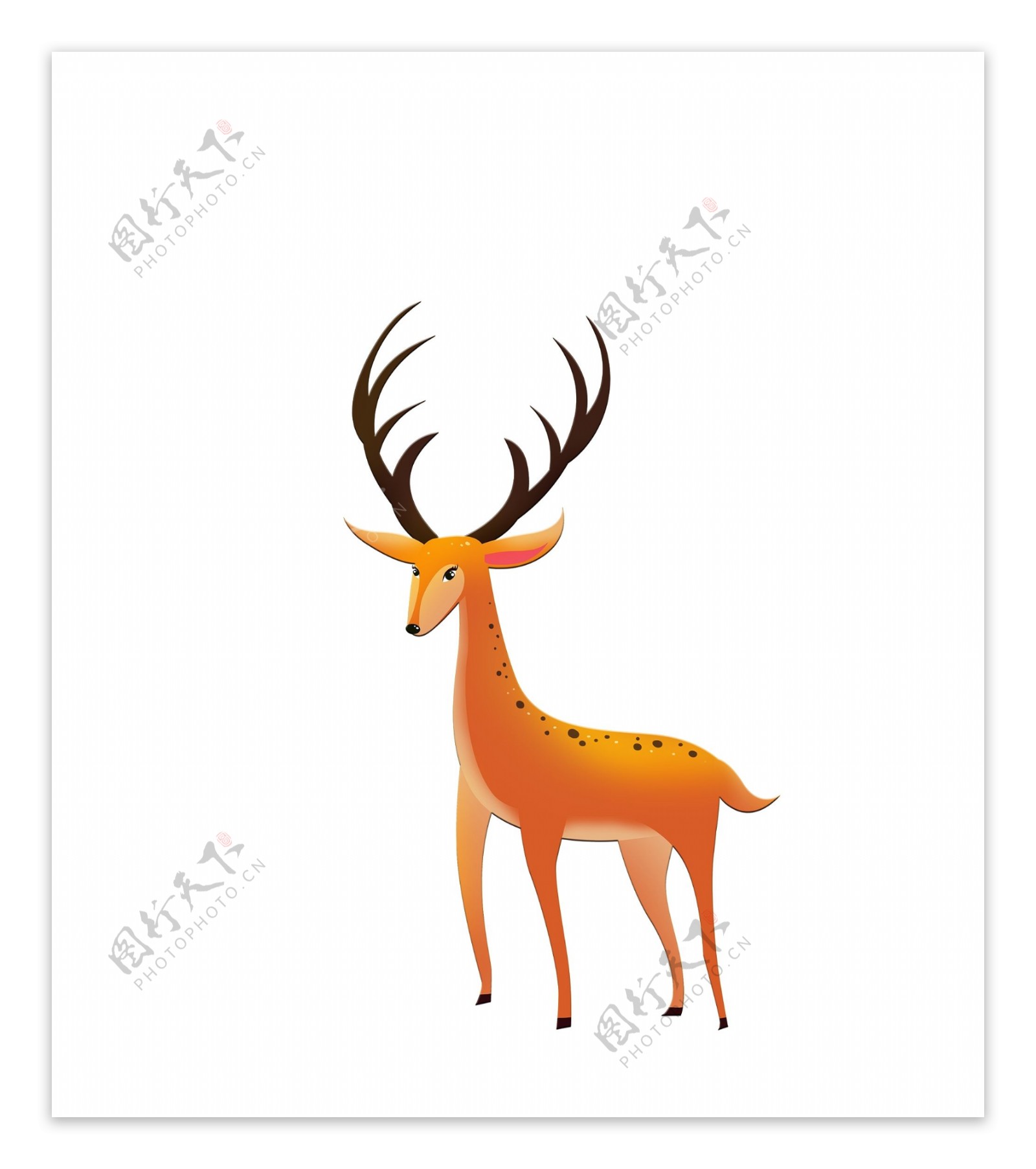 手绘可爱梅花鹿动物设计