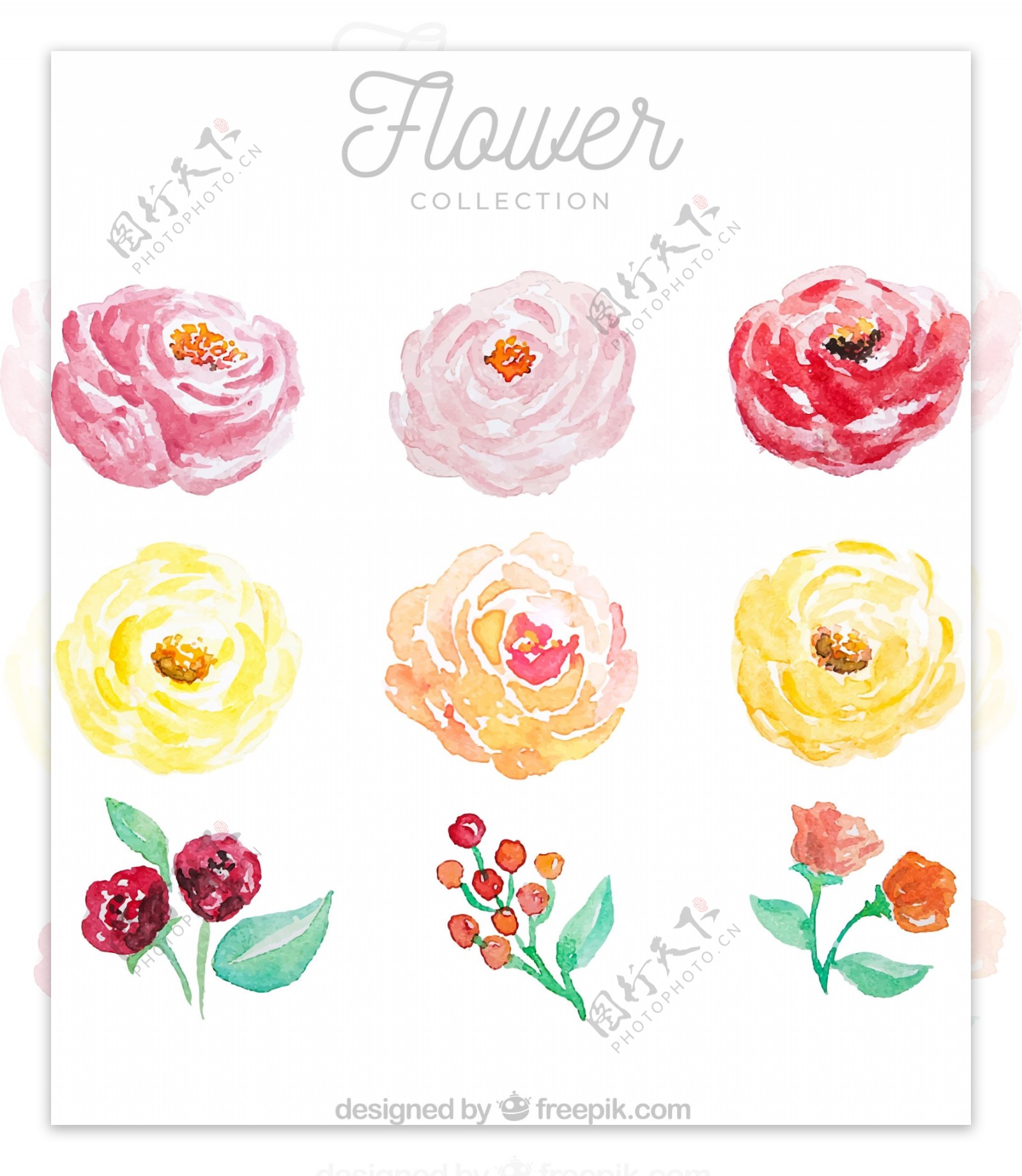 9款水彩绘花朵设计