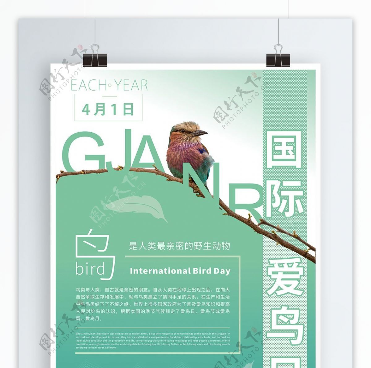 绿色简约风国际爱鸟日原创矢量创意节日海报