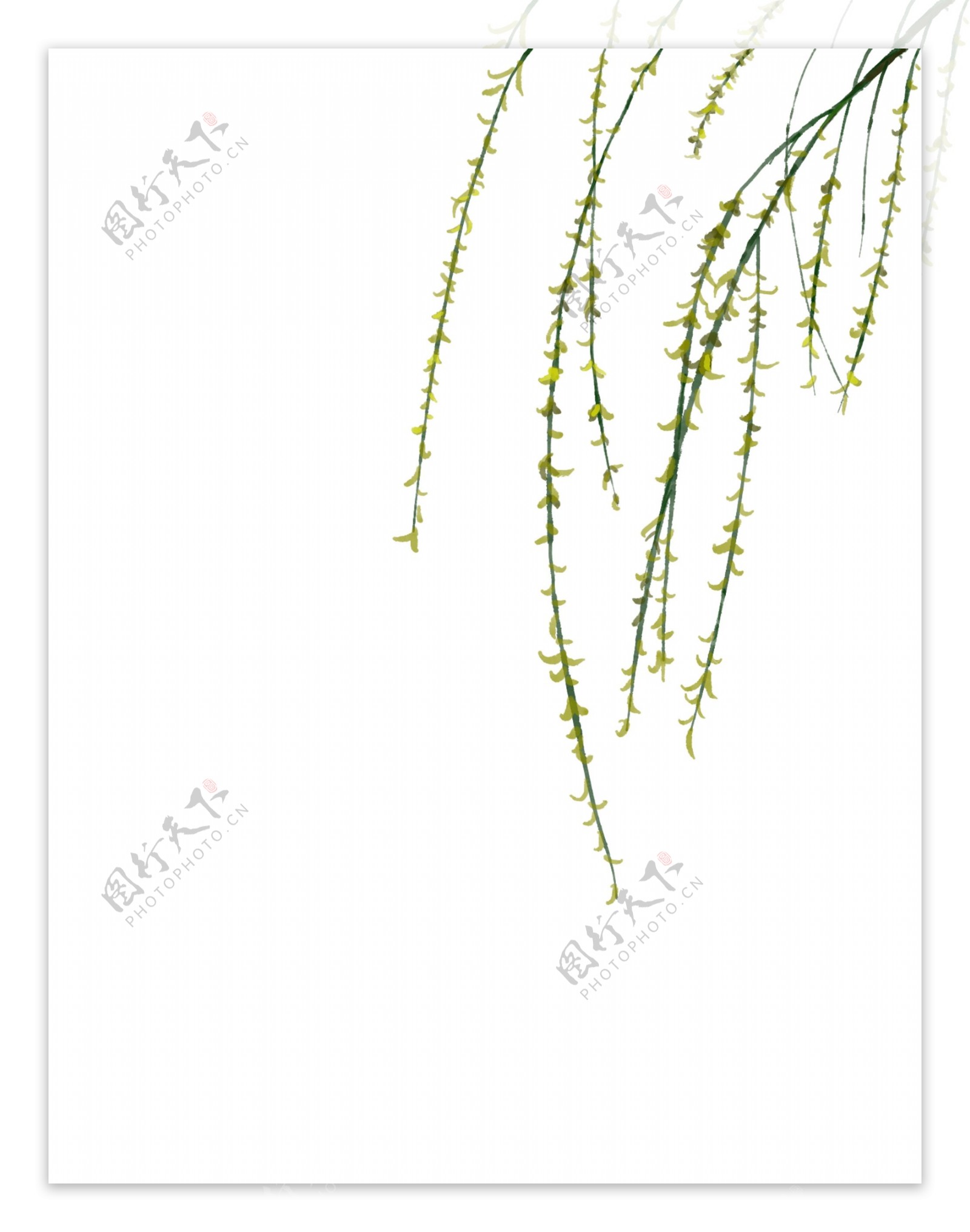 清明节漂浮柳叶手绘