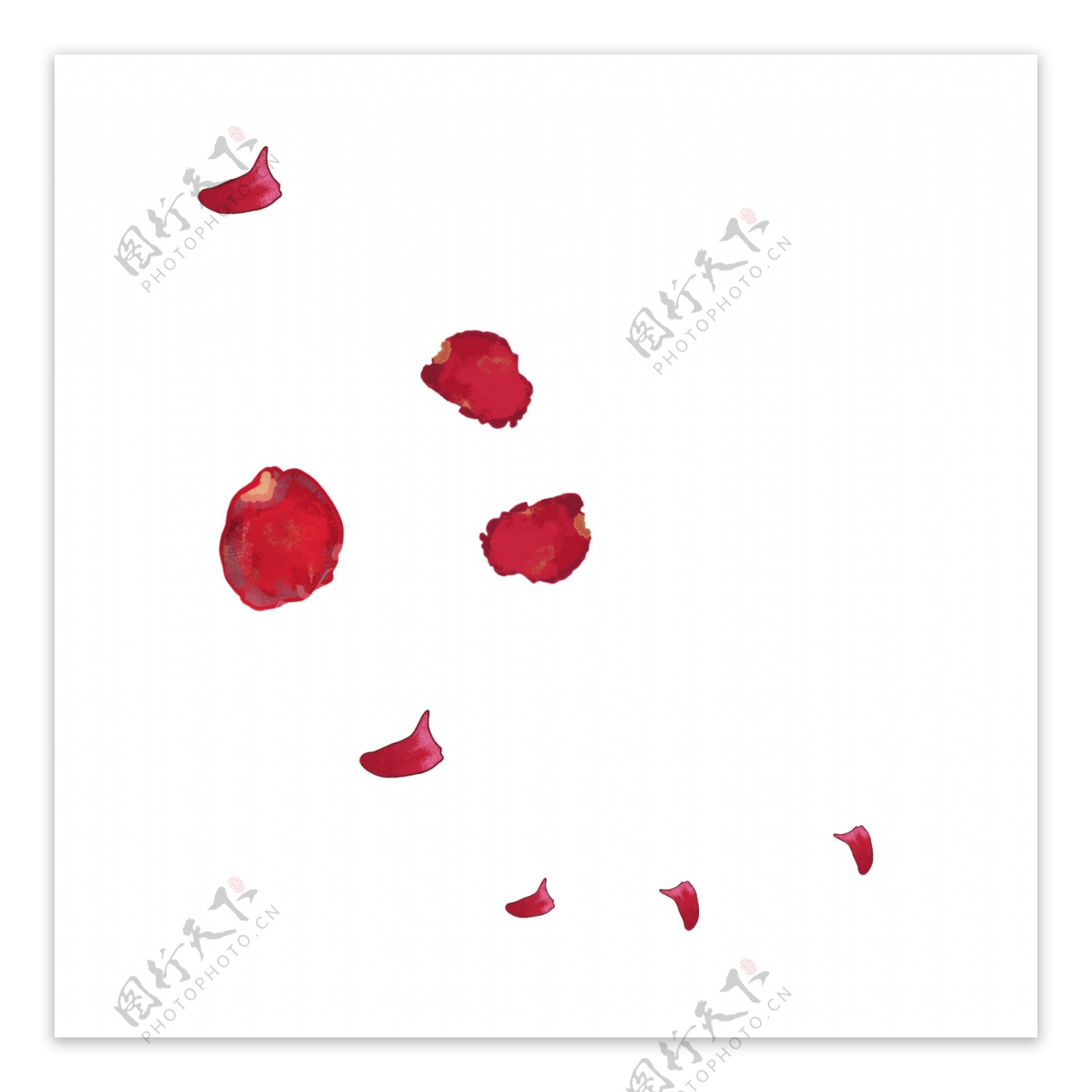 红色的漂浮花朵插画