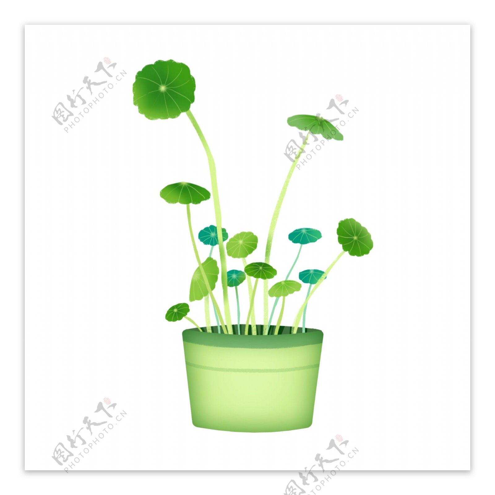 盆栽绿色植物插画