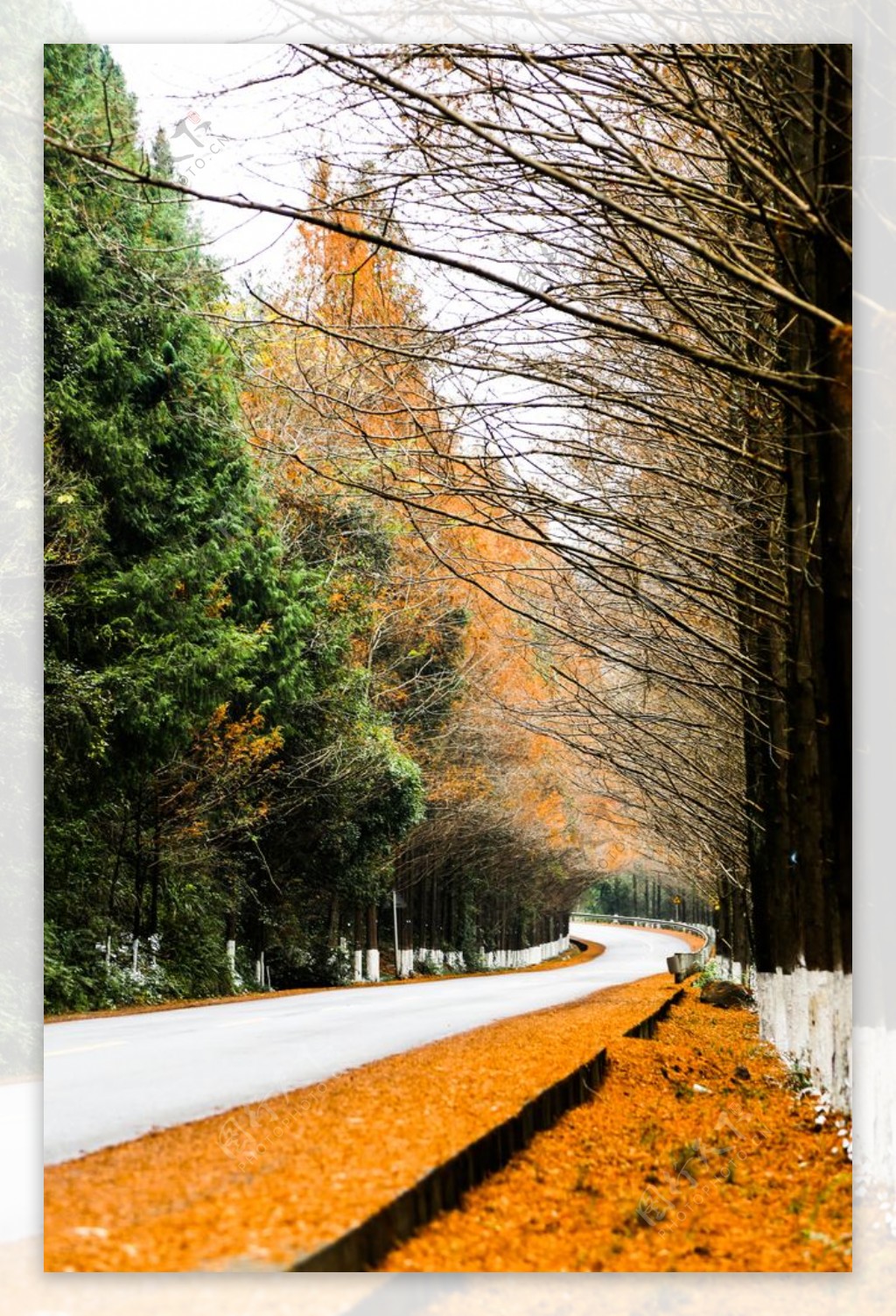 秋天里的乡村公路