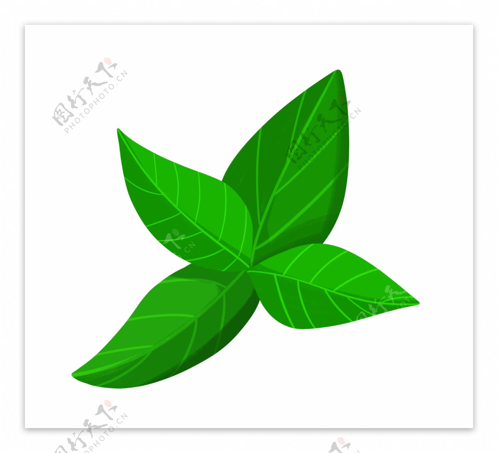 绿色的叶子装饰插画