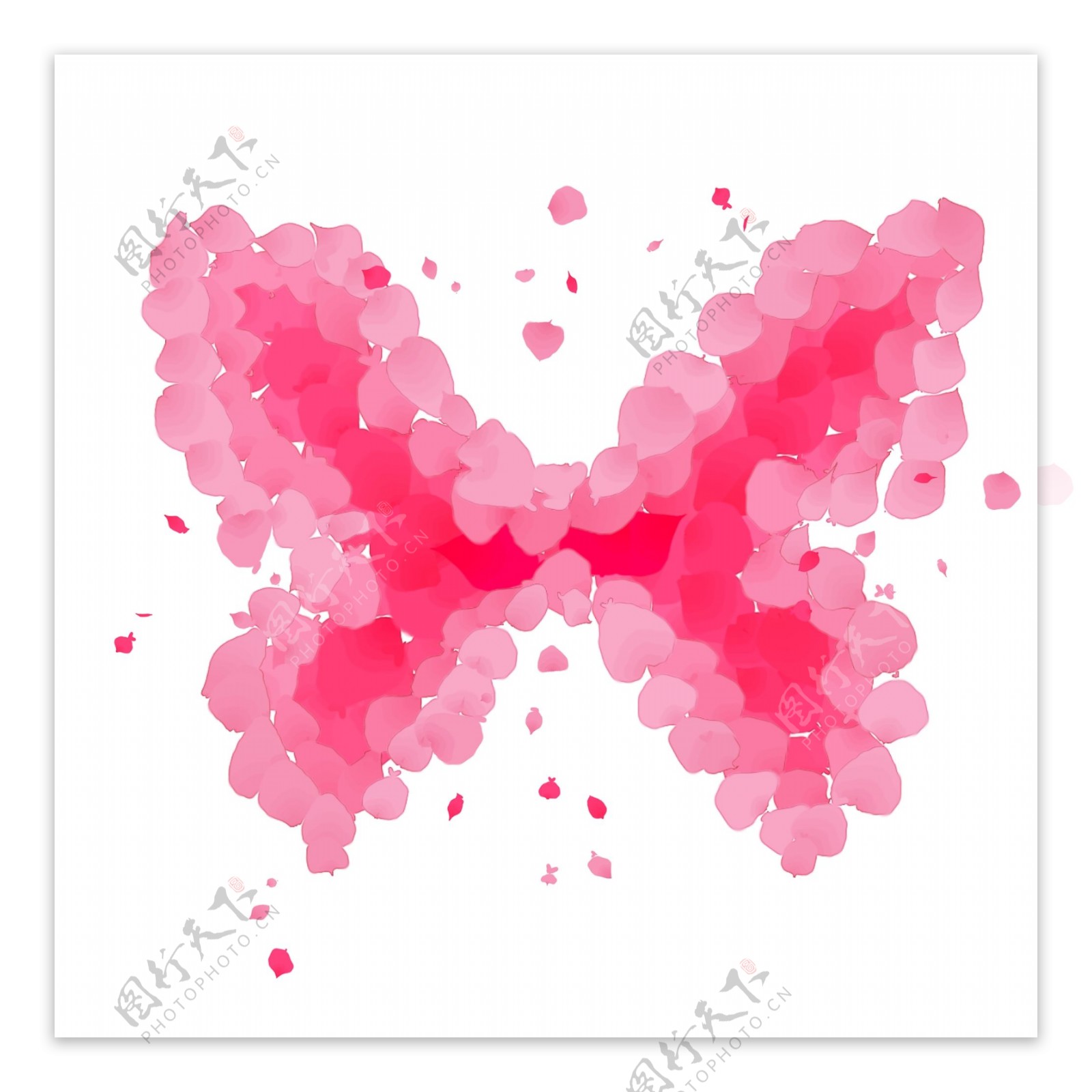 情人节粉色玫瑰花瓣插图