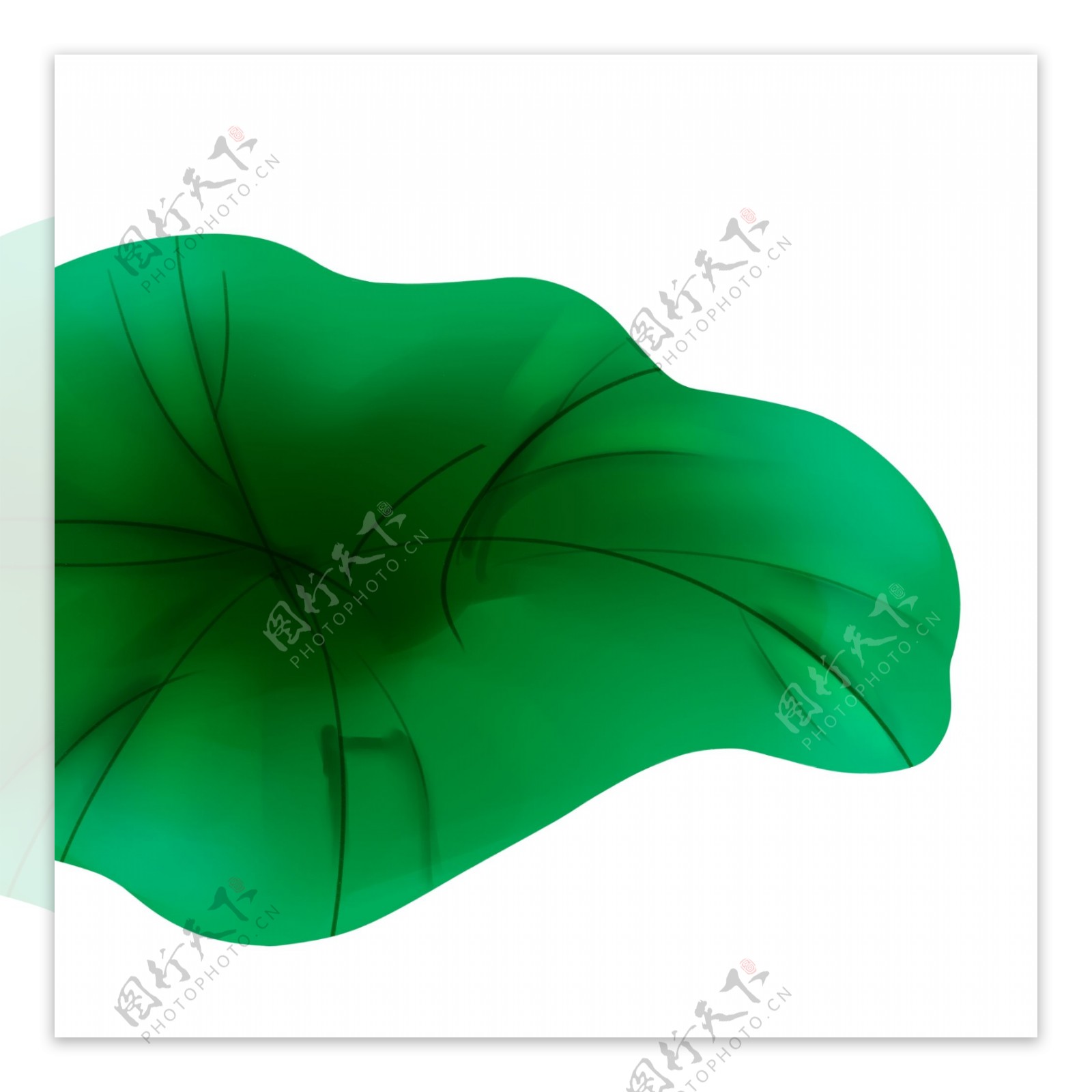 绿色荷叶装饰图案