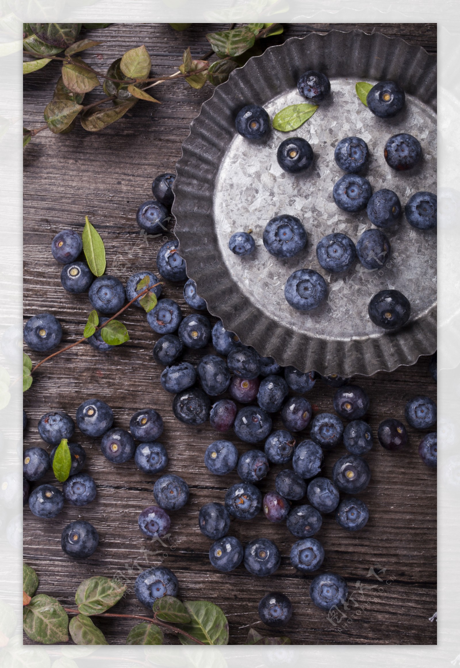 摄影图新鲜浆果蓝莓实物图