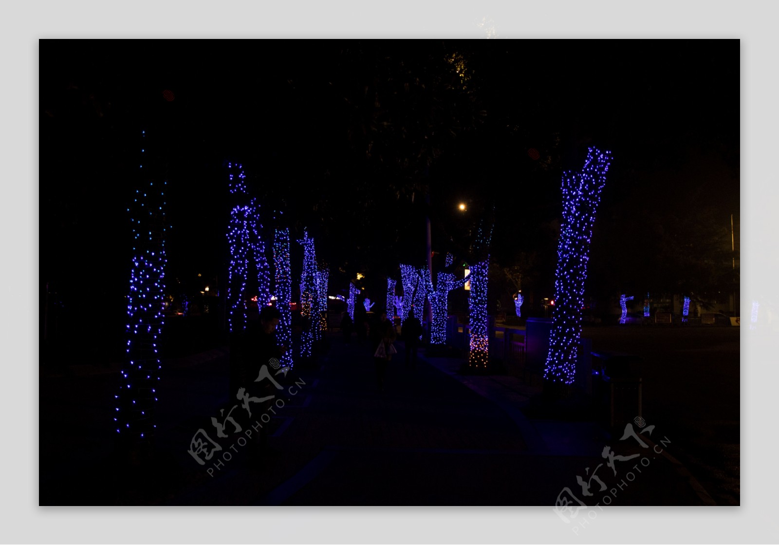 城市夜景树灯广角摄影图