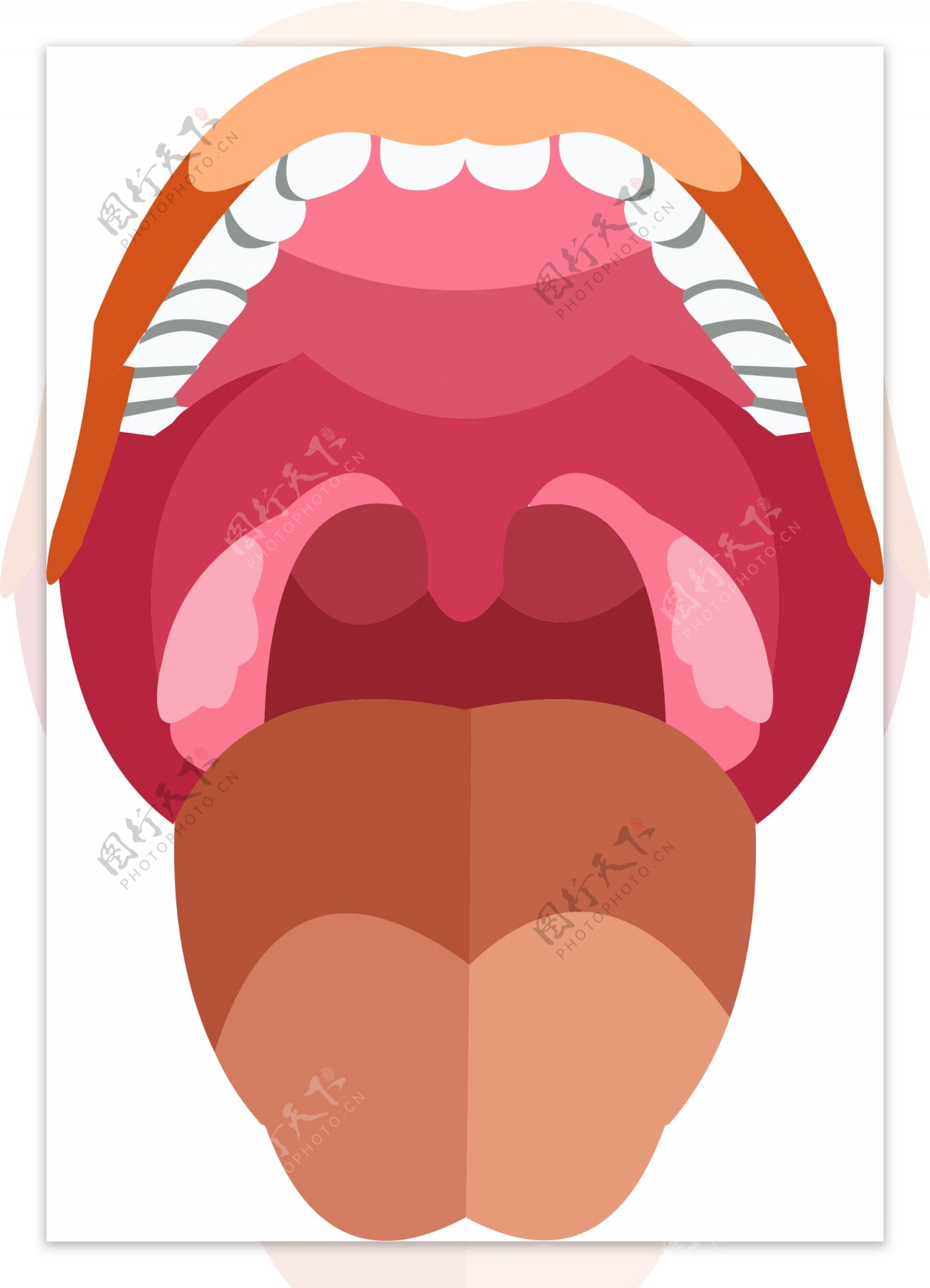 手绘人体器官人体五官张开的嘴和牙齿