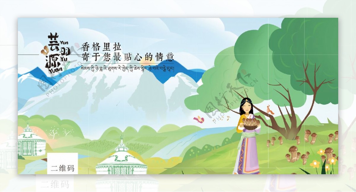 藏族松茸海报