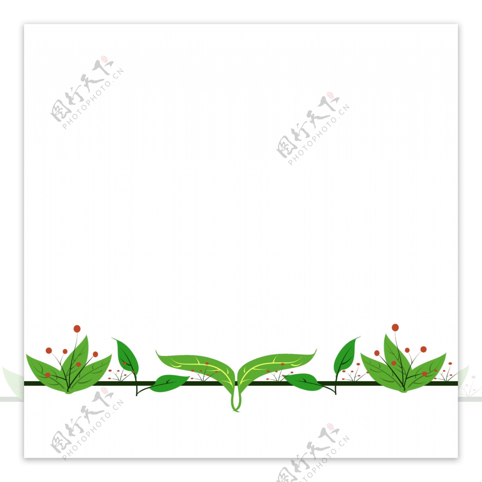 绿叶植物分割线插画