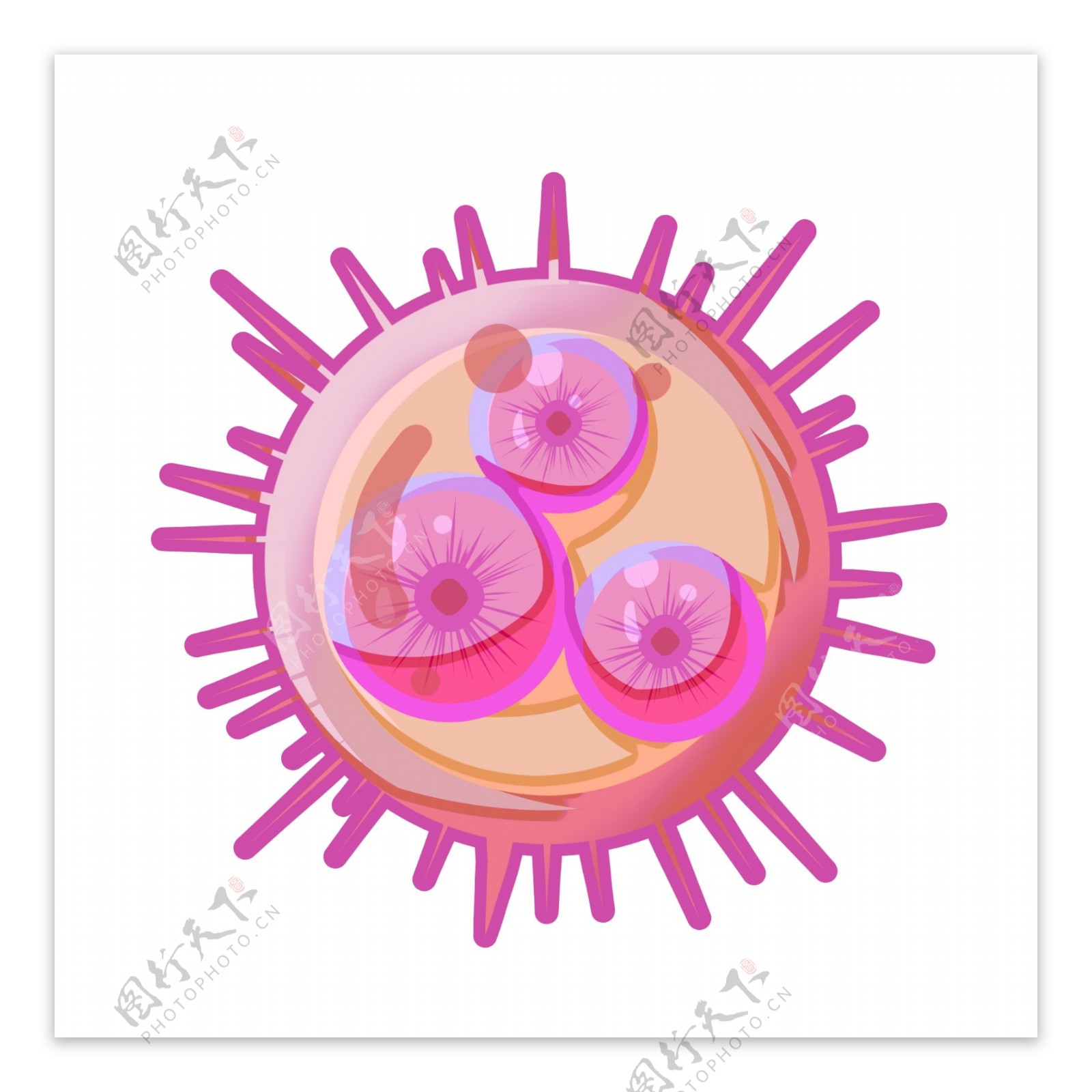 粉色的圆球细菌插画