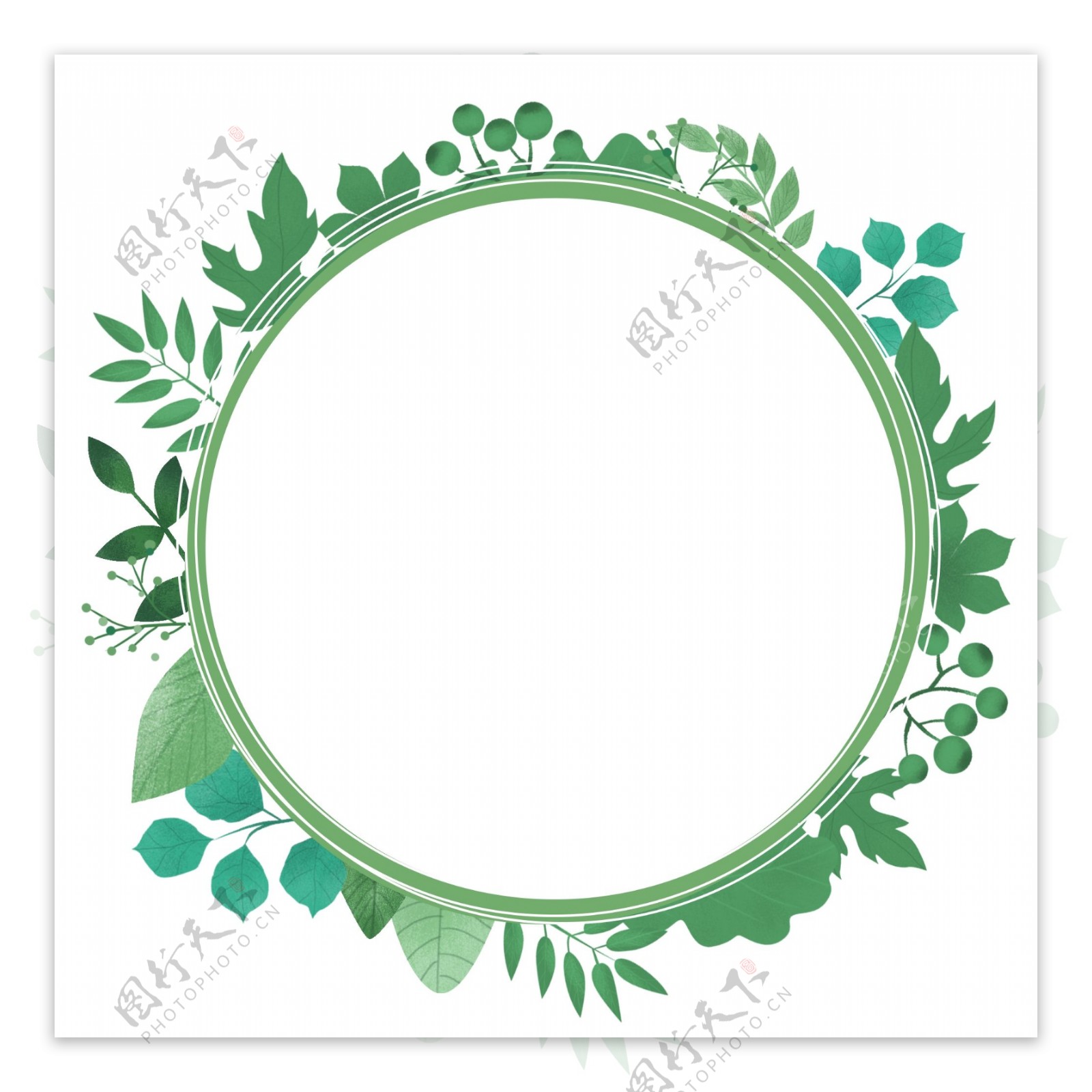 圆形绿色植物边框