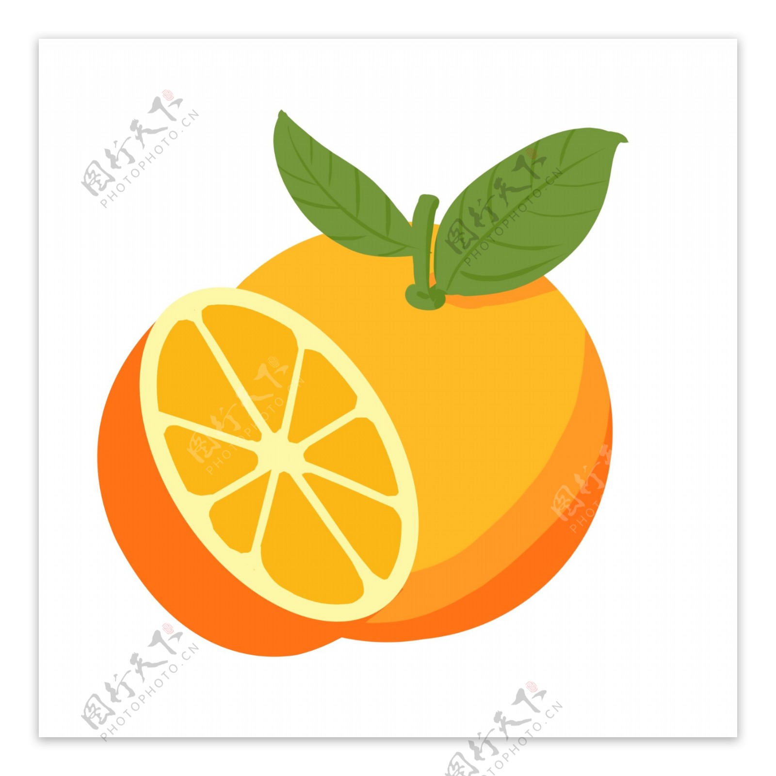 带叶子的橙子插画