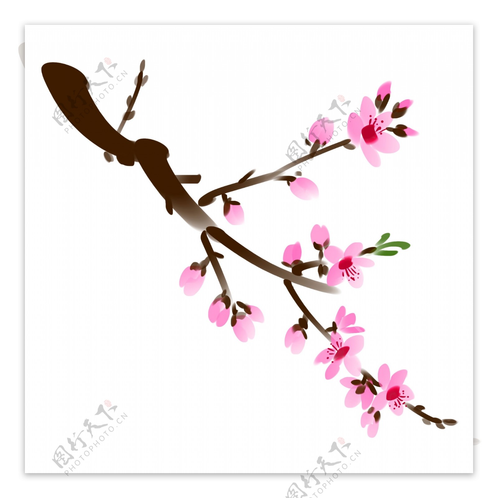 手绘中国风桃花树