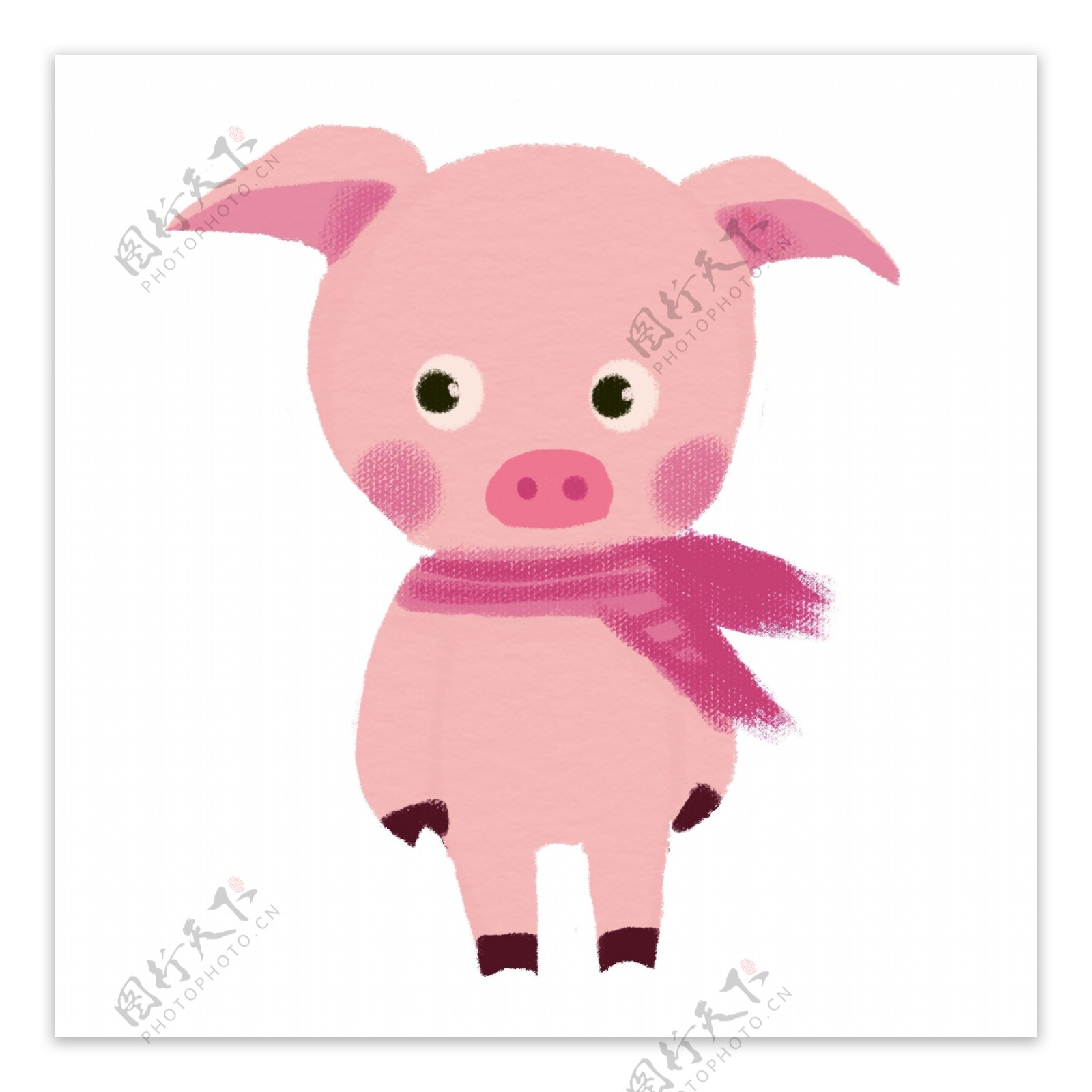 猪年新年戴围巾的质感金猪