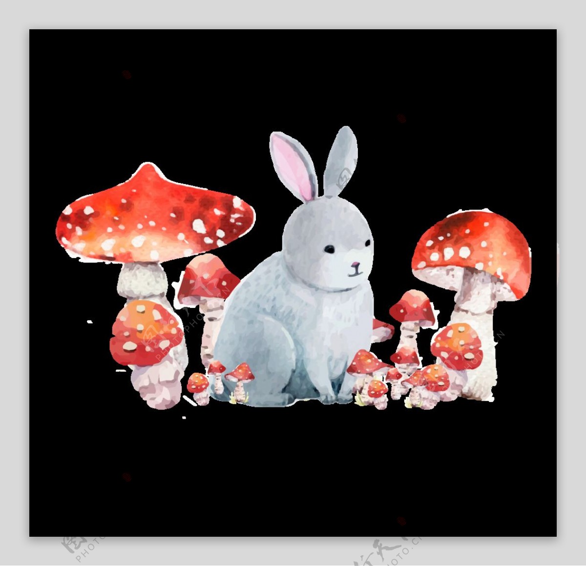 小兔子采蘑菇