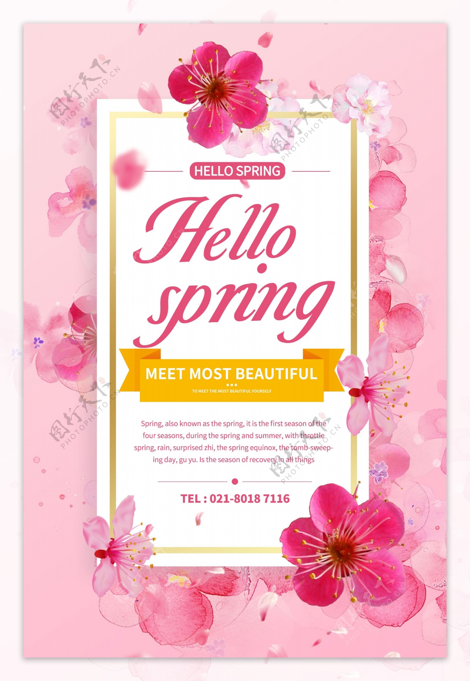 粉色唯美春季赏花旅游纯英文海报