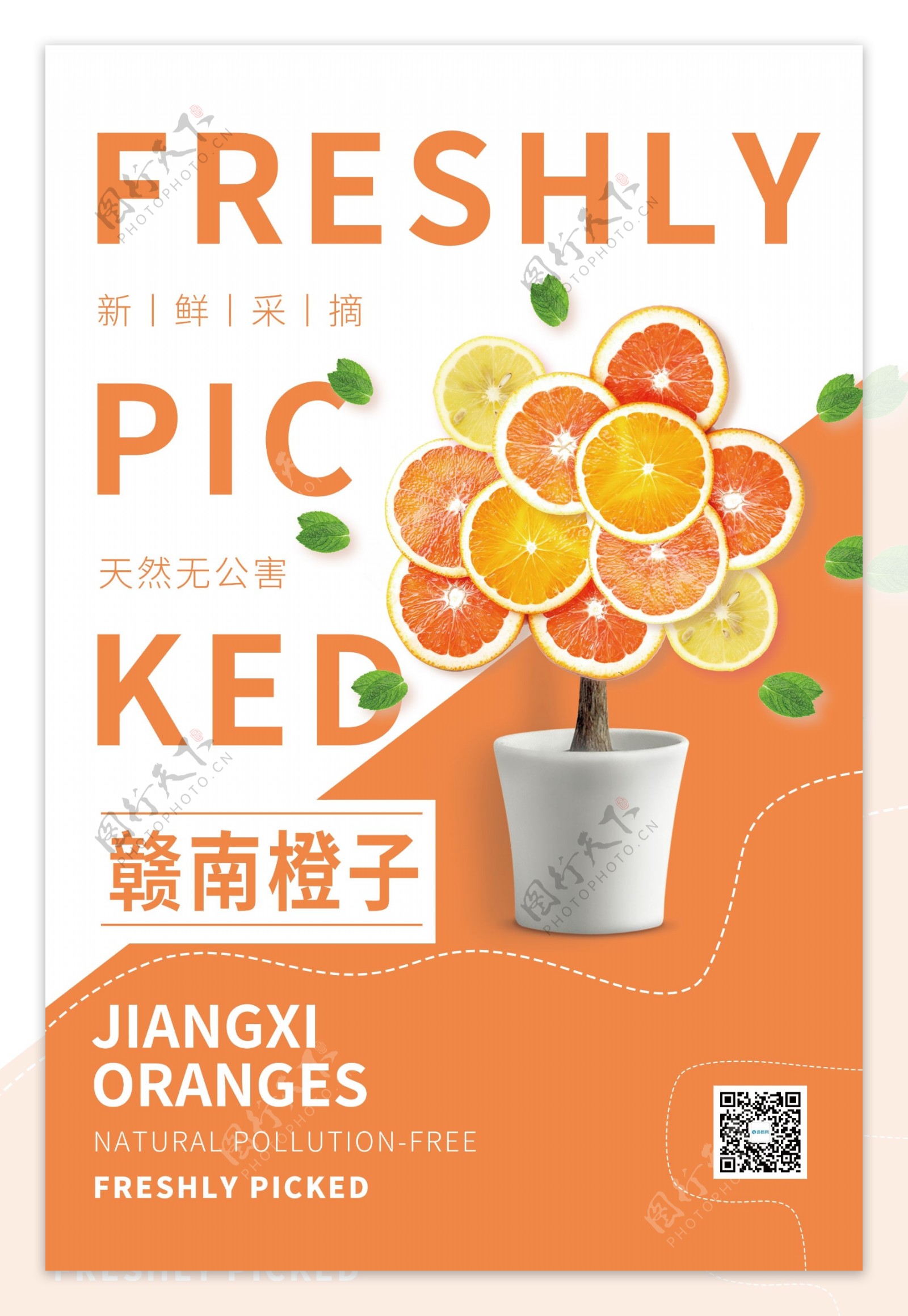 赣南橙子水果促销宣传海报