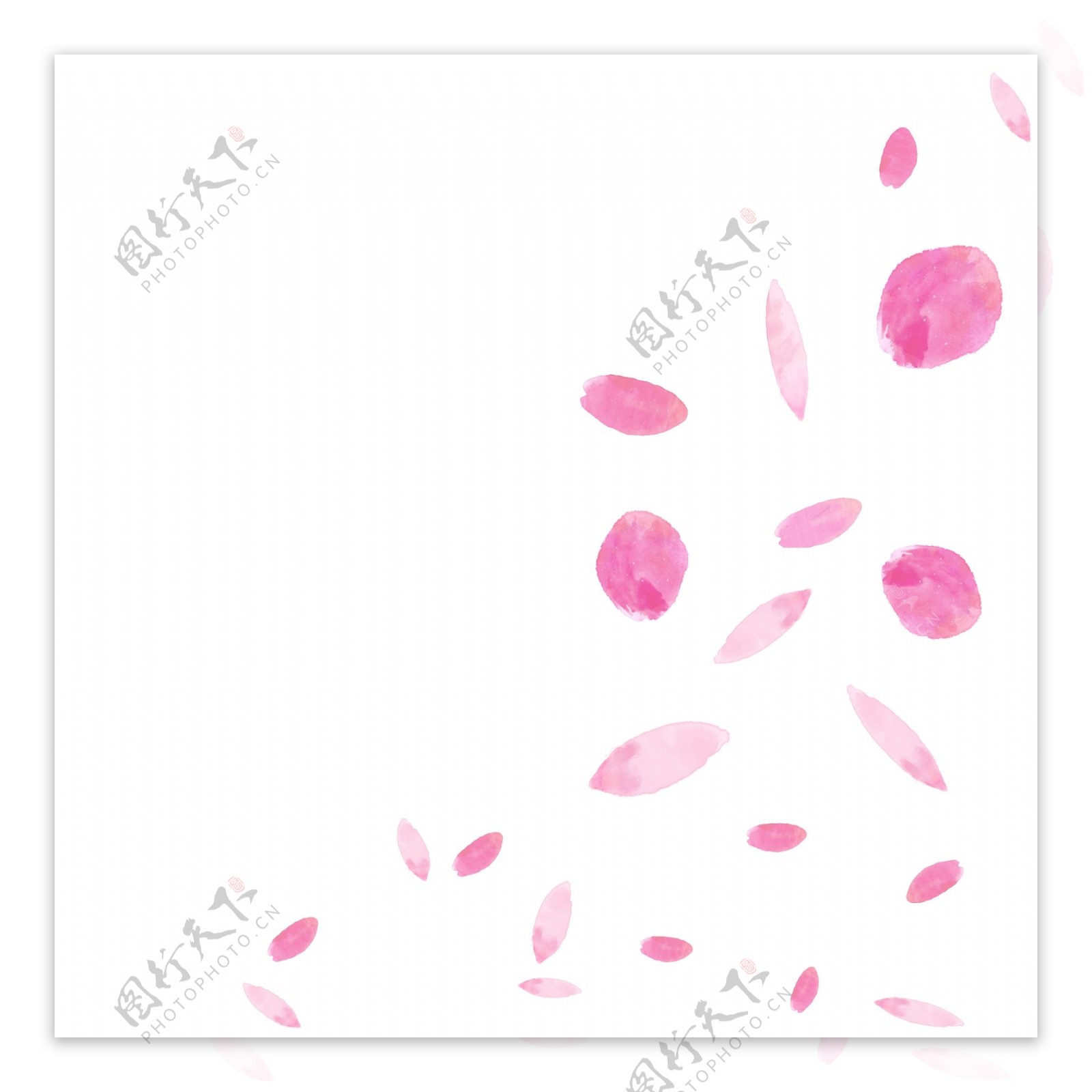 漂浮花瓣粉色水彩樱花春天
