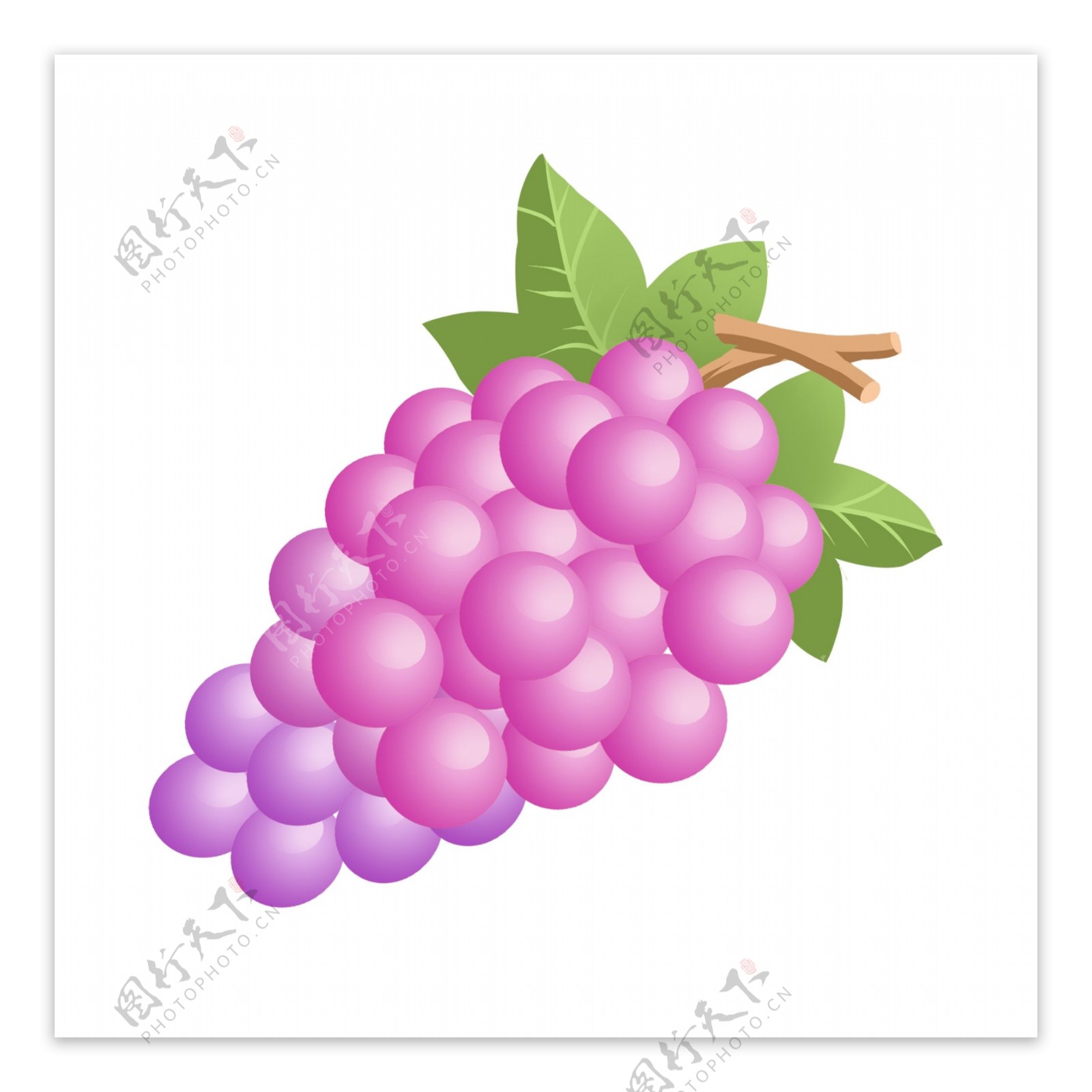 手绘夏季自然清新水果紫色葡萄免抠png