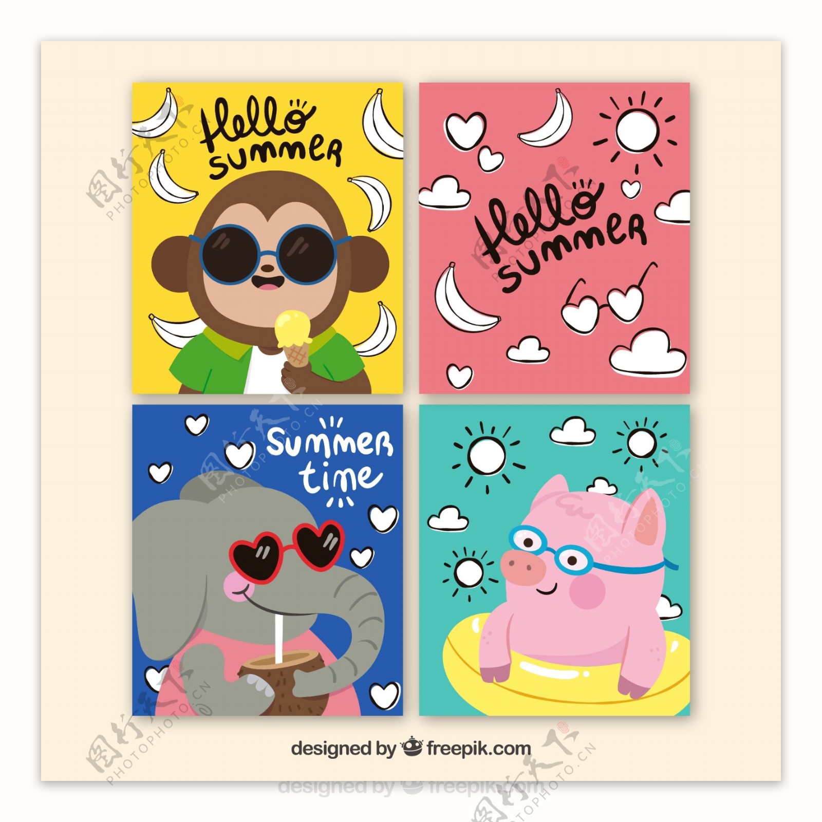 彩绘夏季动物卡片