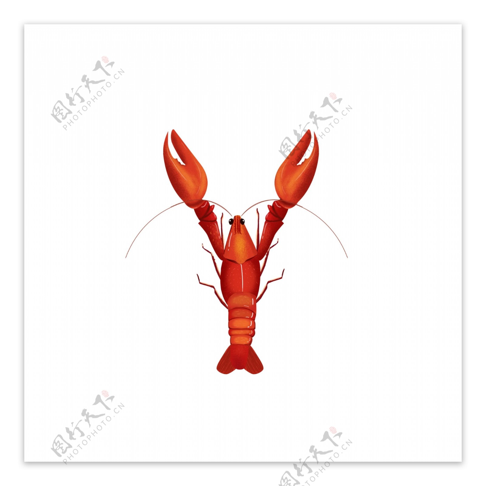 原创小龙虾大虾红色美食卡通手绘风元素