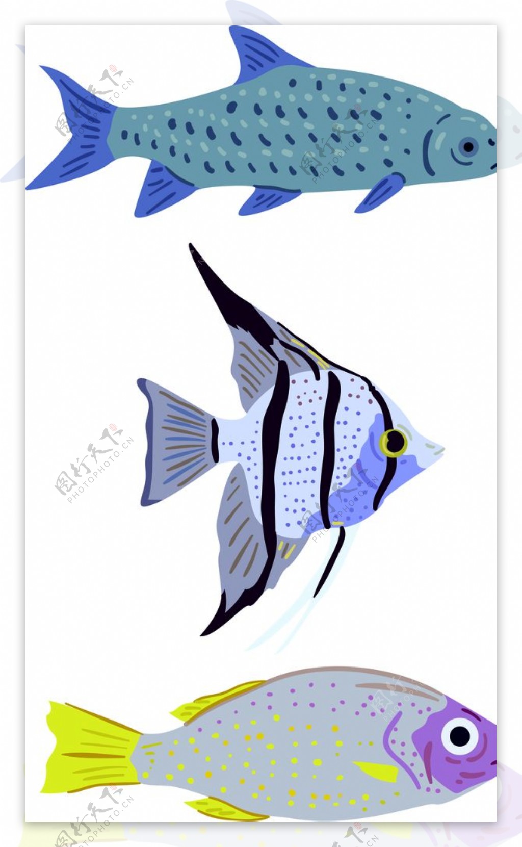 扁平化彩色鱼海洋动物彩