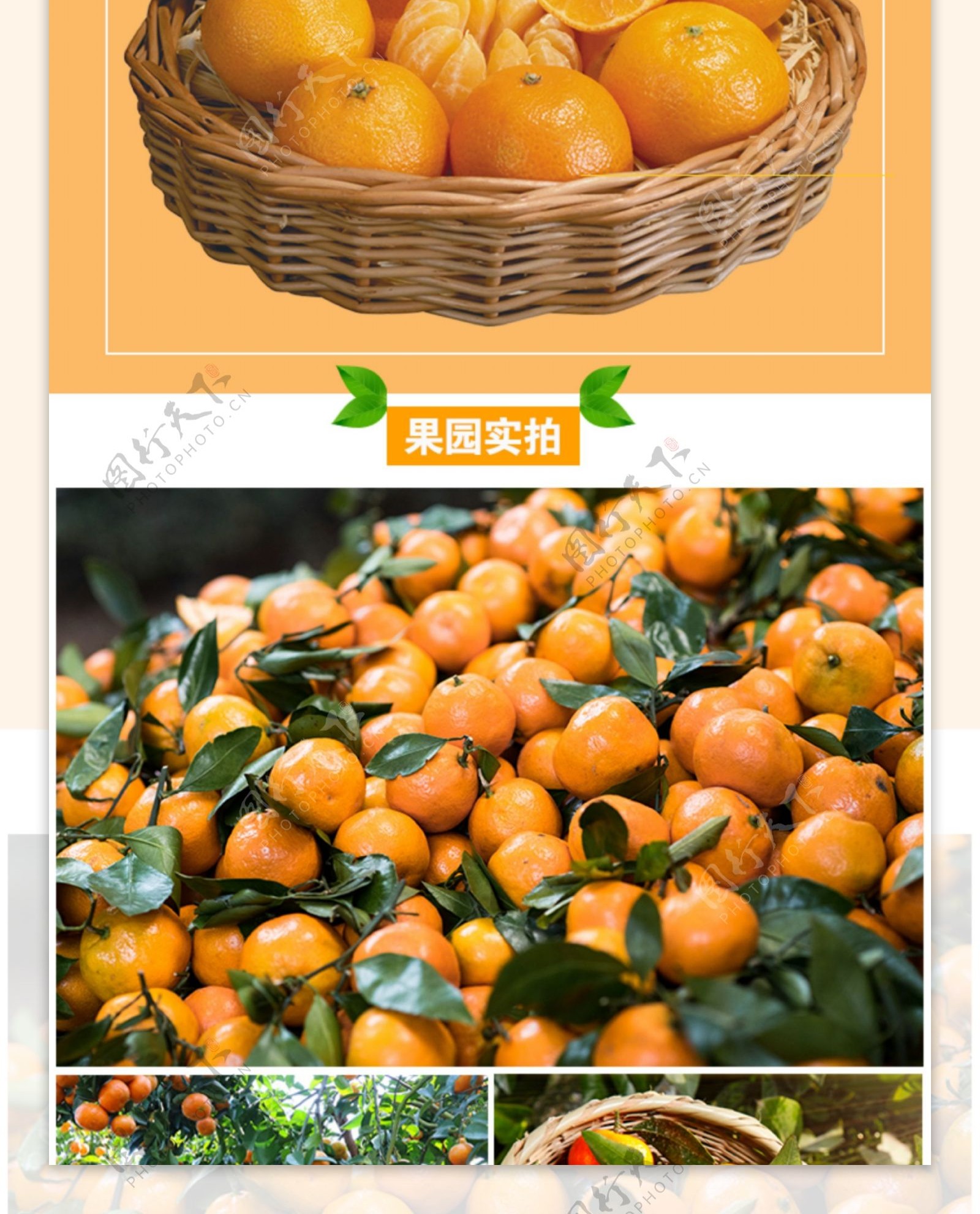 蜜汁砂糖橘促销天猫详情页