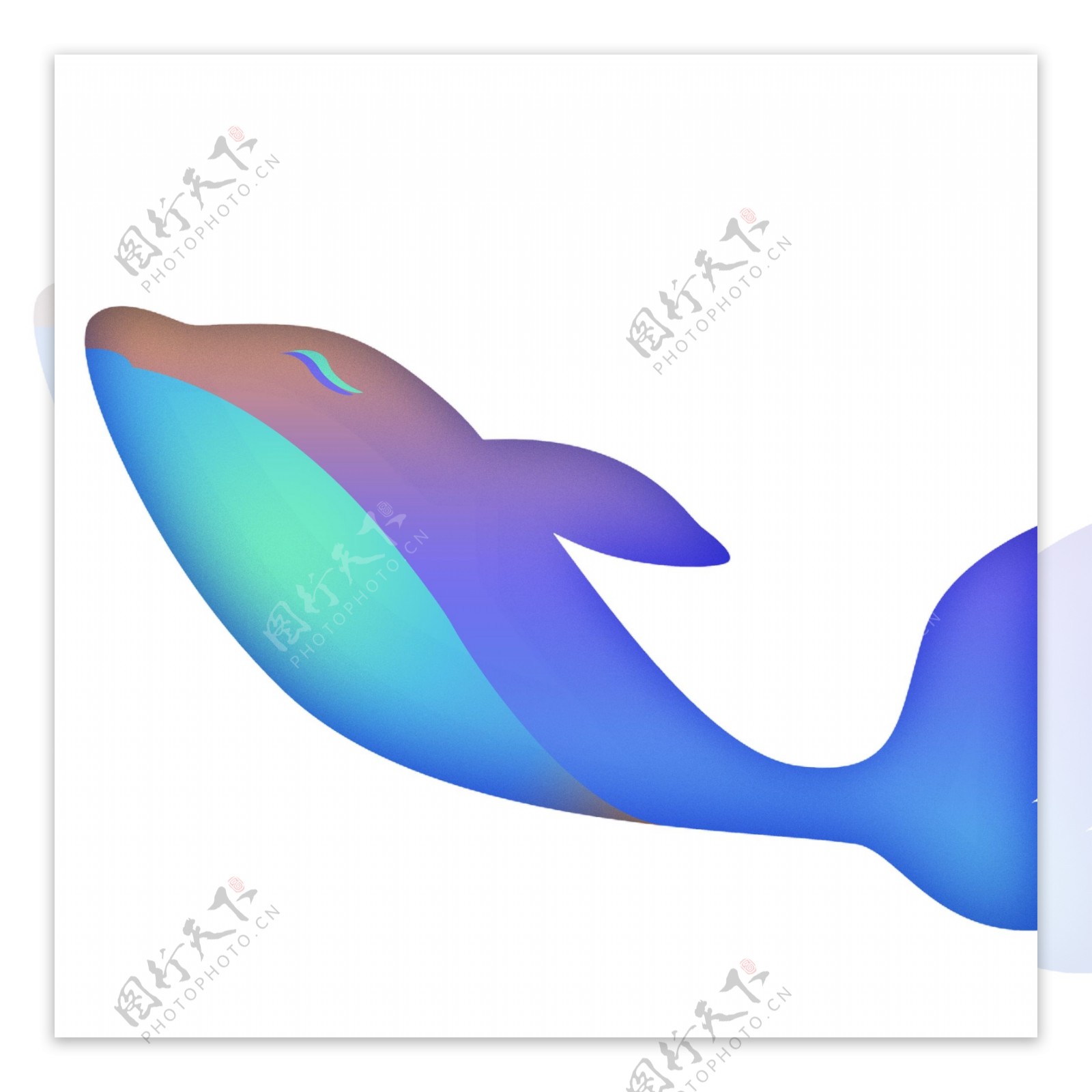 美丽蓝色鲸鱼装饰元素