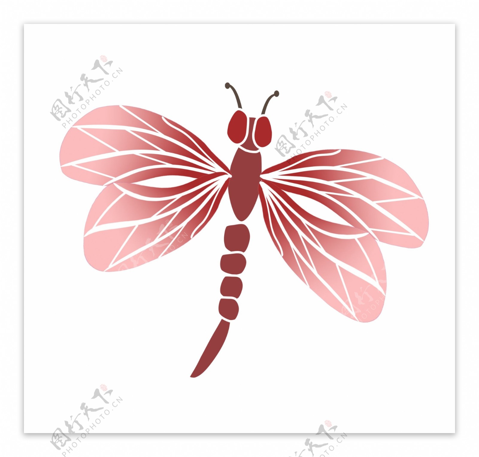红色蜻蜓装饰