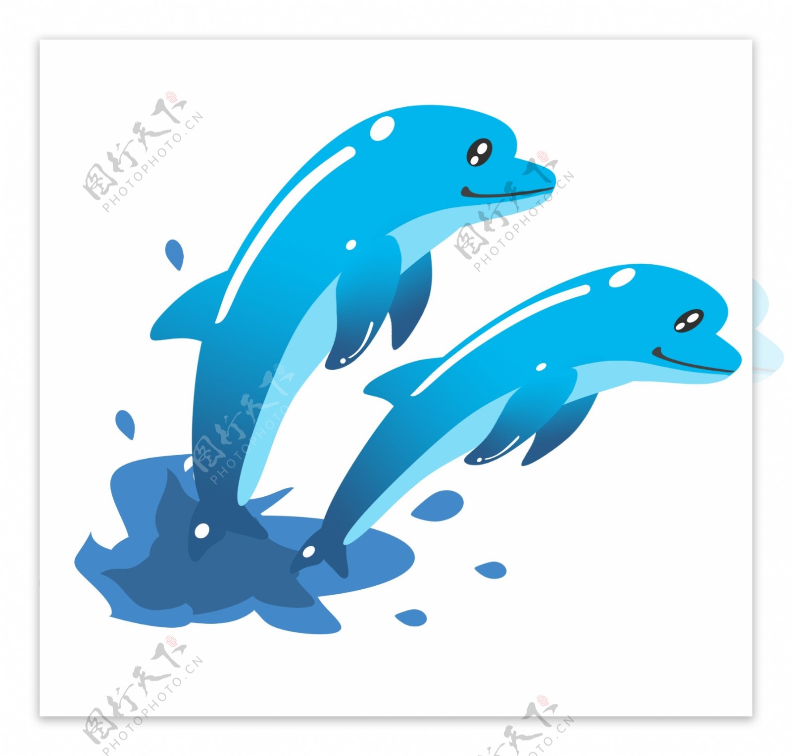 两个蓝色海豚