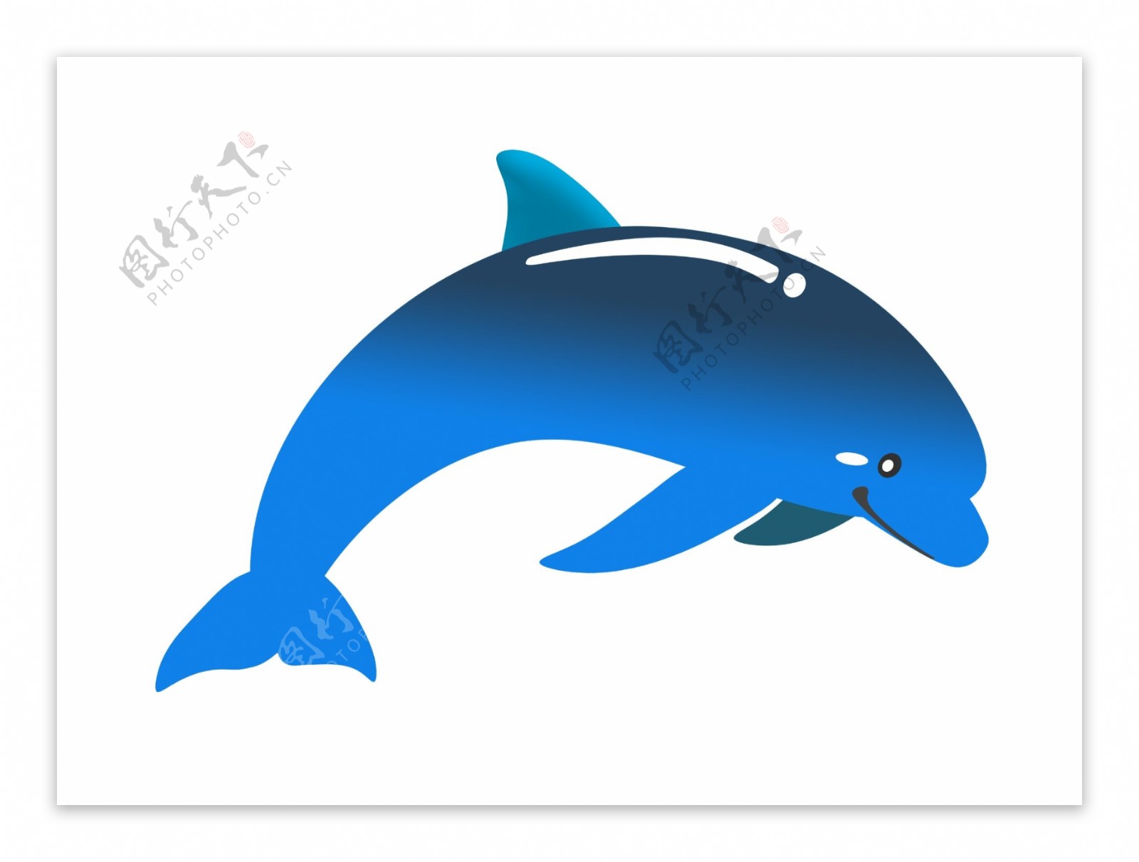 跳跃蓝色海豚