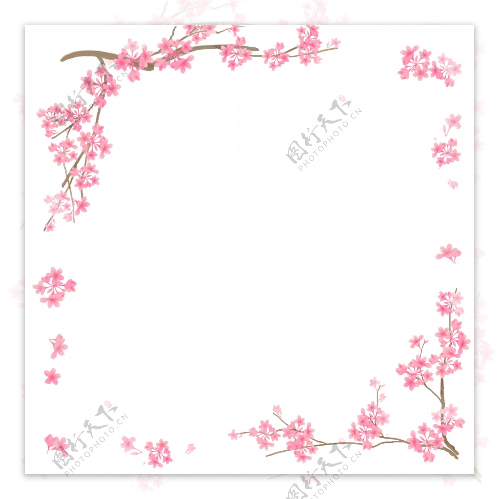 粉红色樱花方形边框