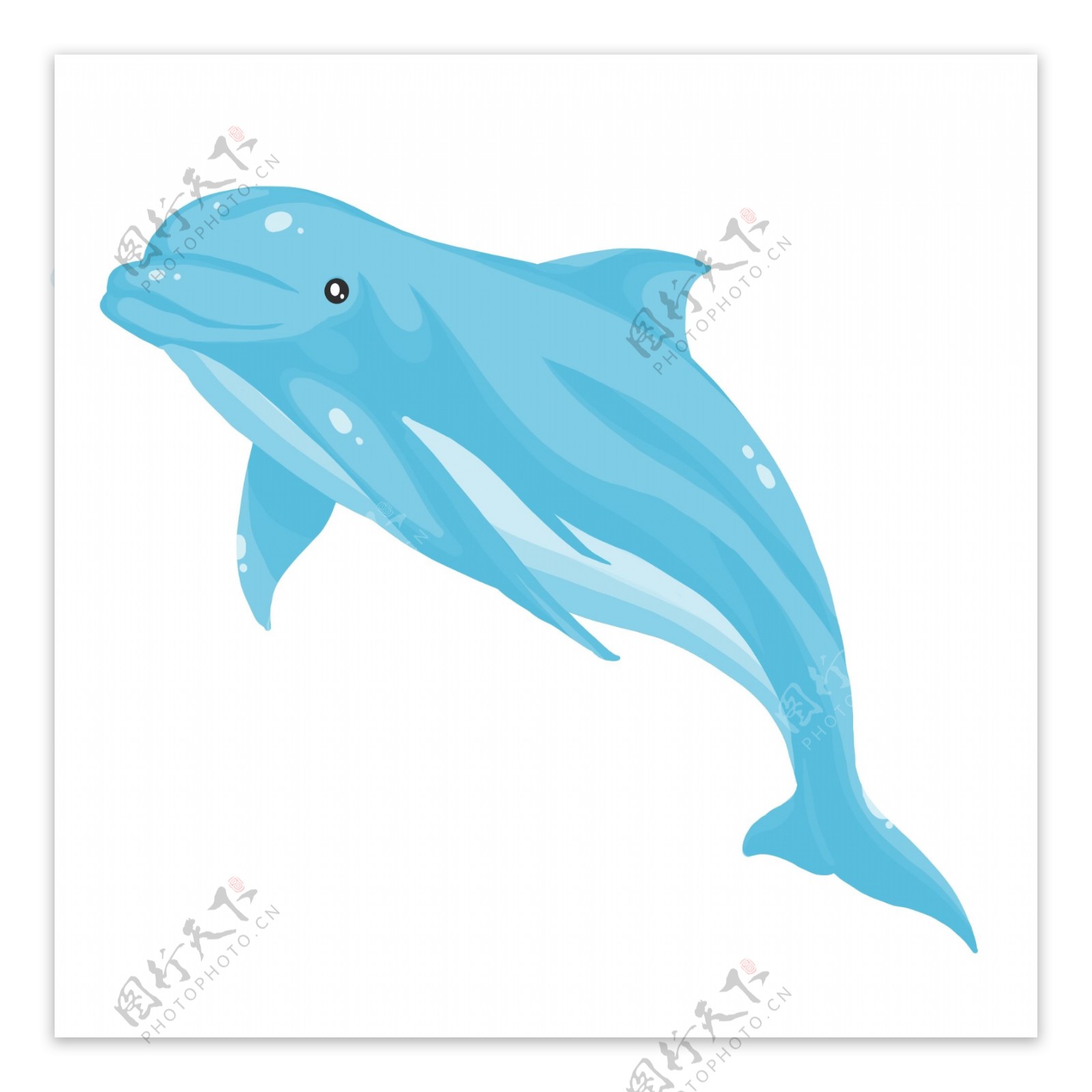 可爱生物海豚