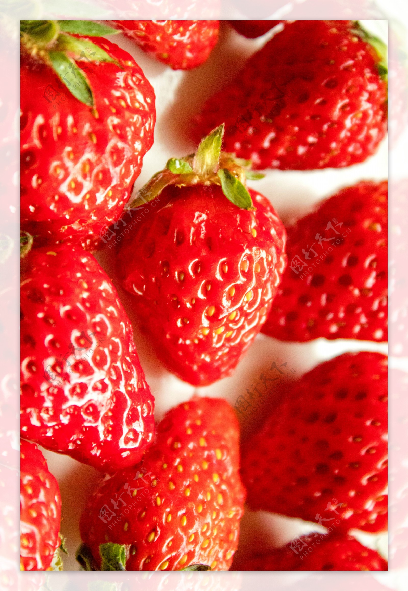 常见的水果之草莓