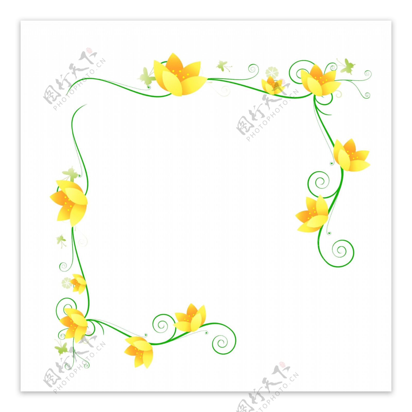 黄色花瓣边框插图