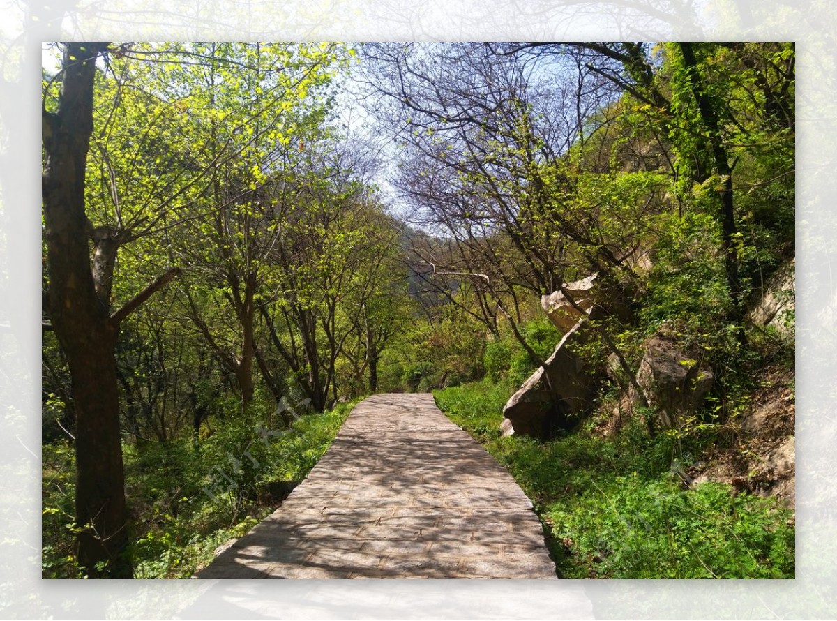 美丽的山路风景