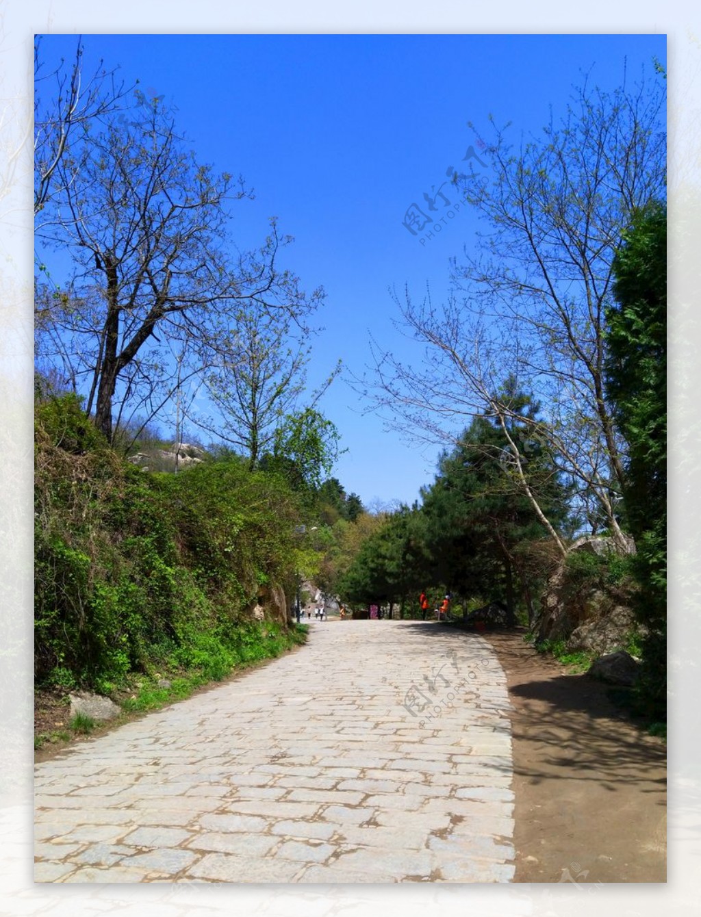 蓝天下的大山风景