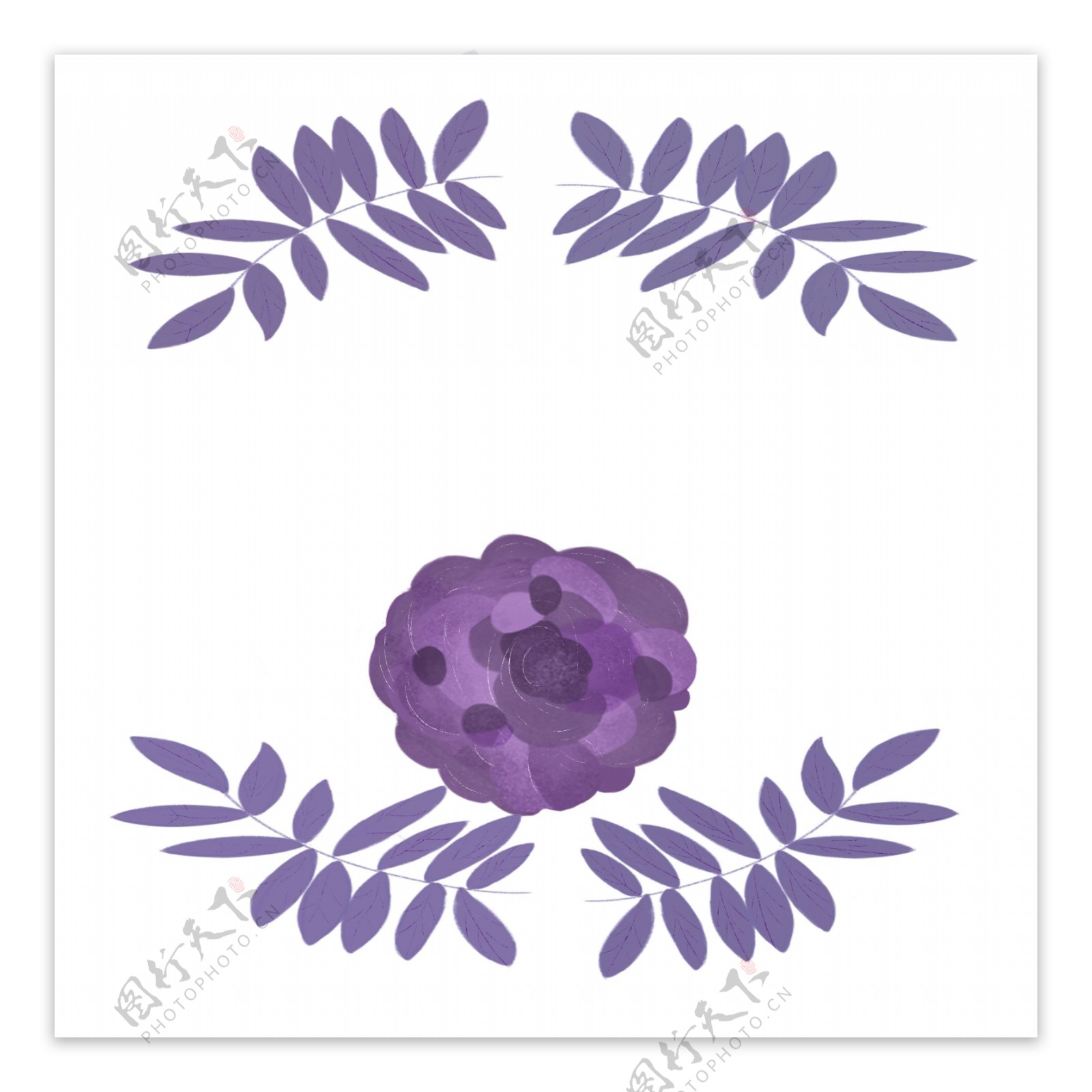 紫色的小花边框插画