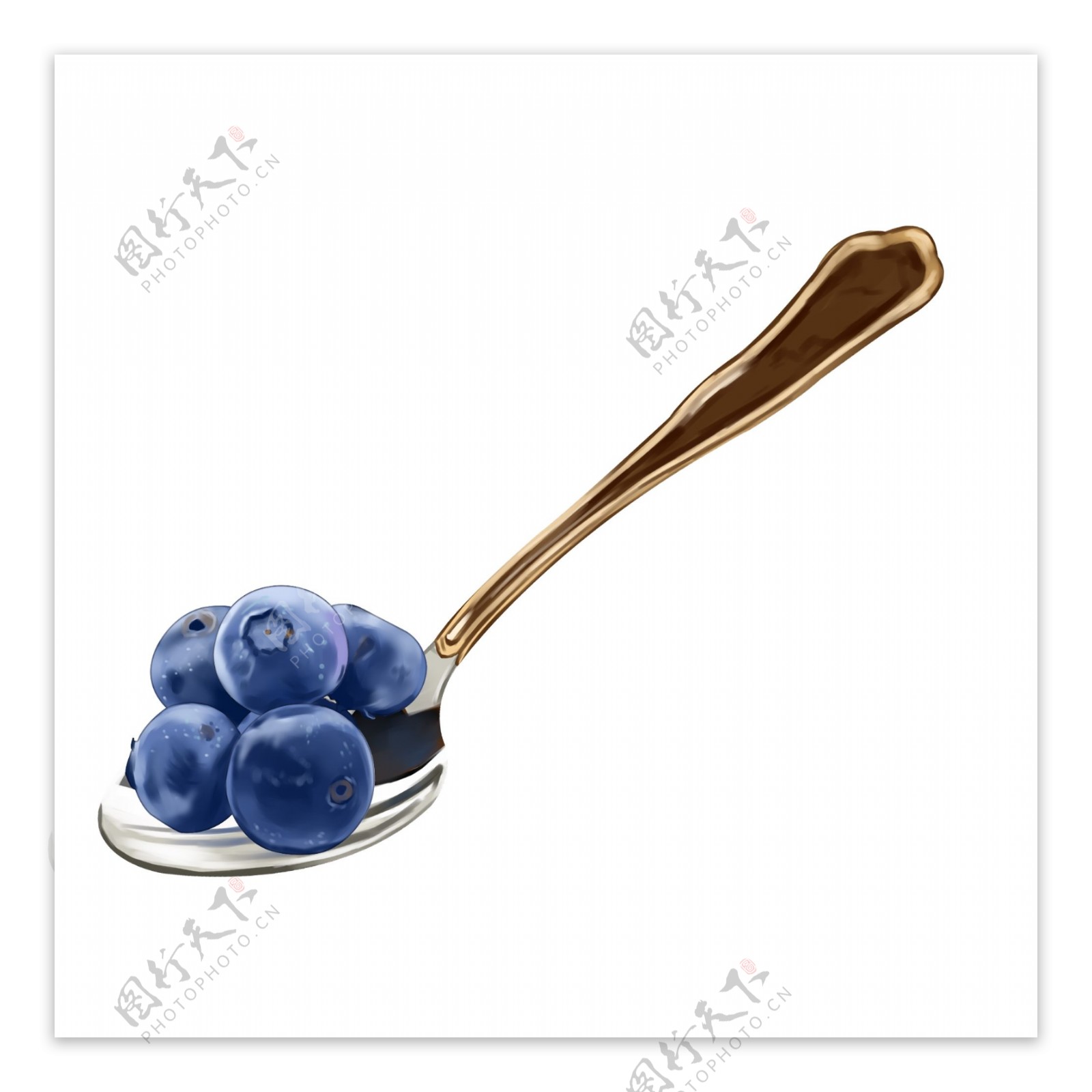 一勺匙蓝莓插图