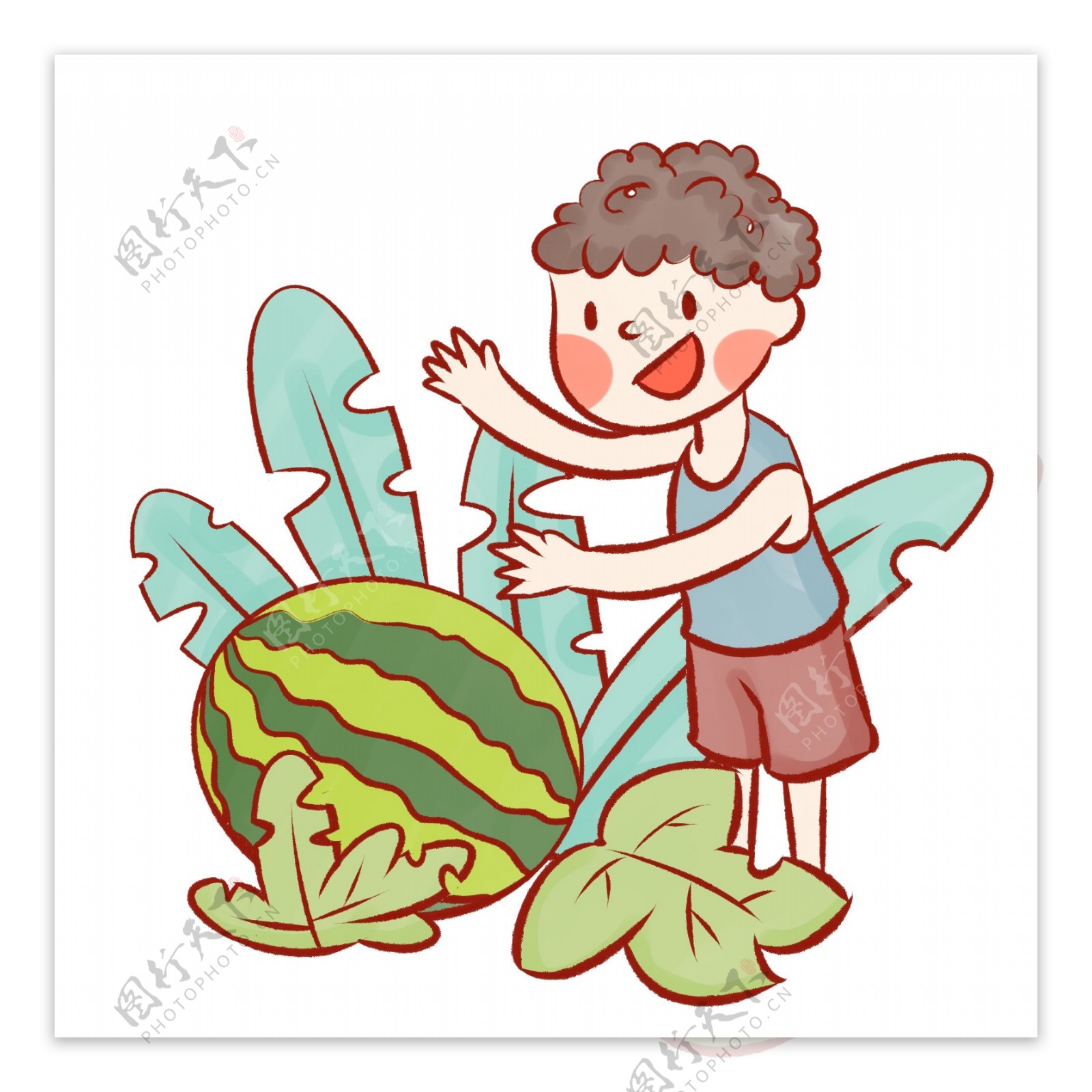 夏季小男孩摘西瓜